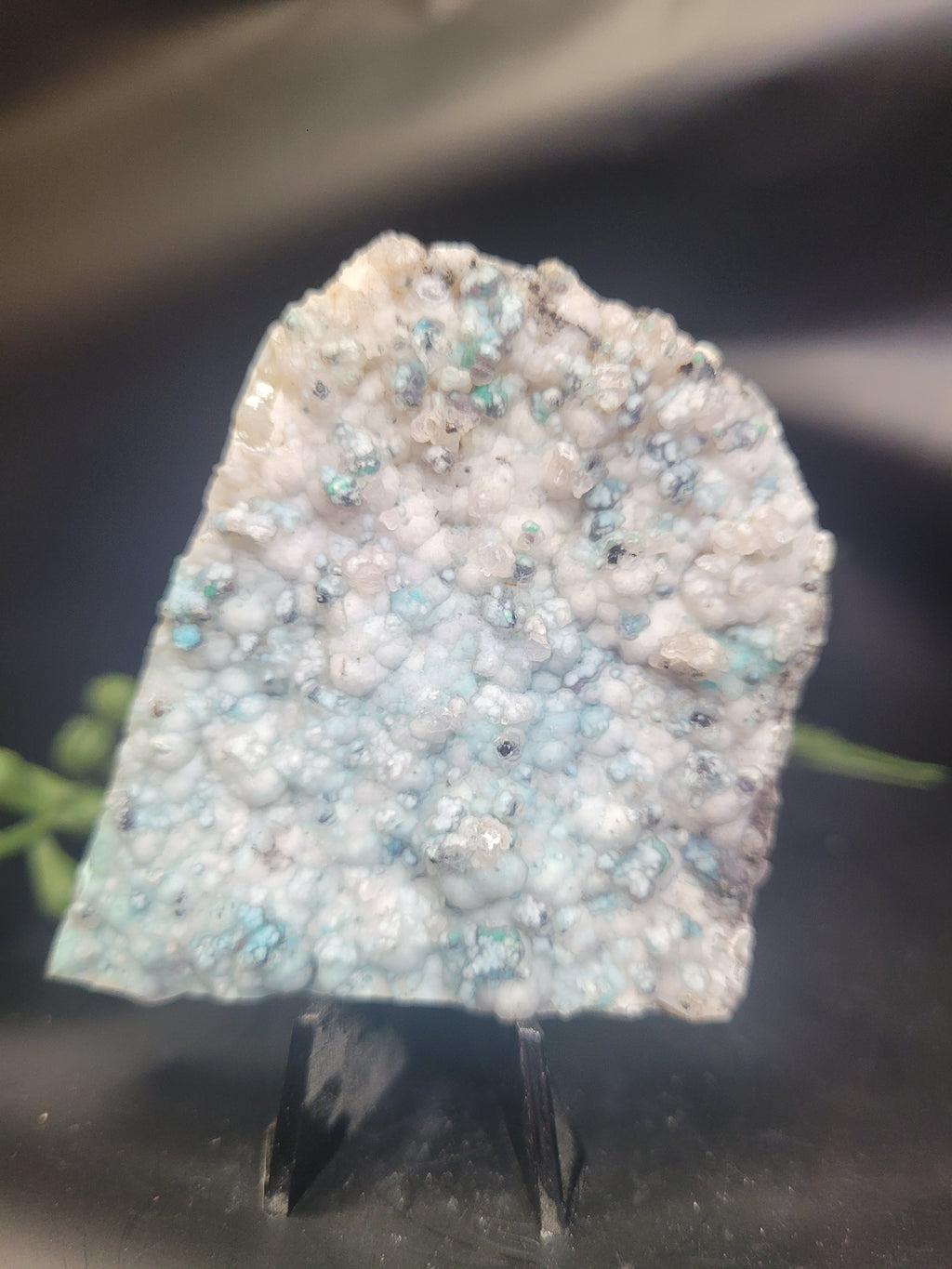 Botryoidal Chrysocolla Specimen • Dendritic Matrix