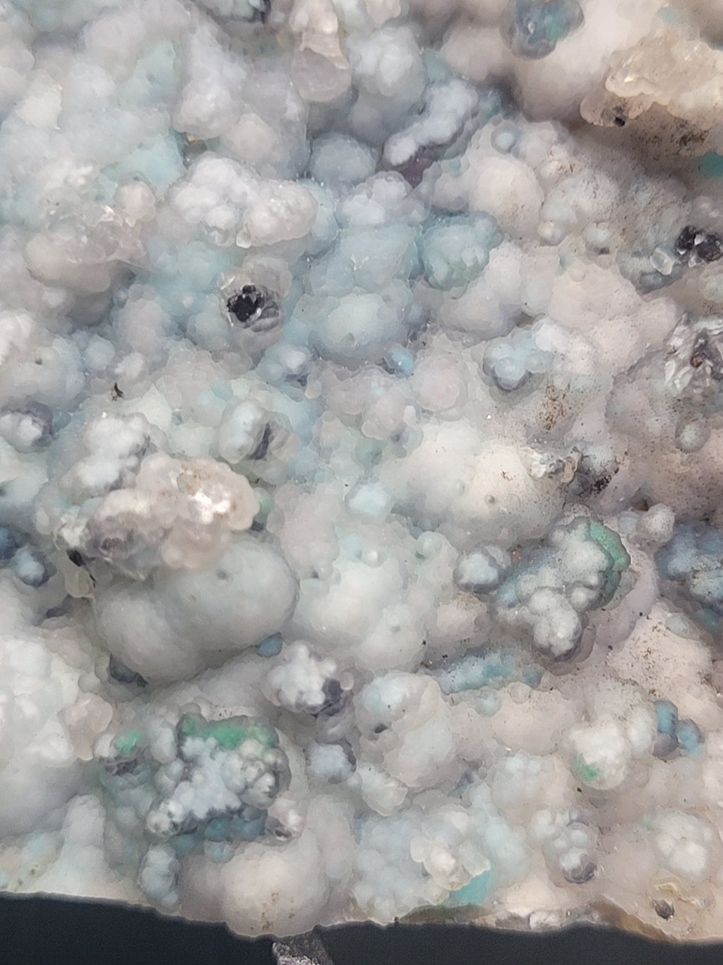 Botryoidal Chrysocolla Specimen • Dendritic Matrix