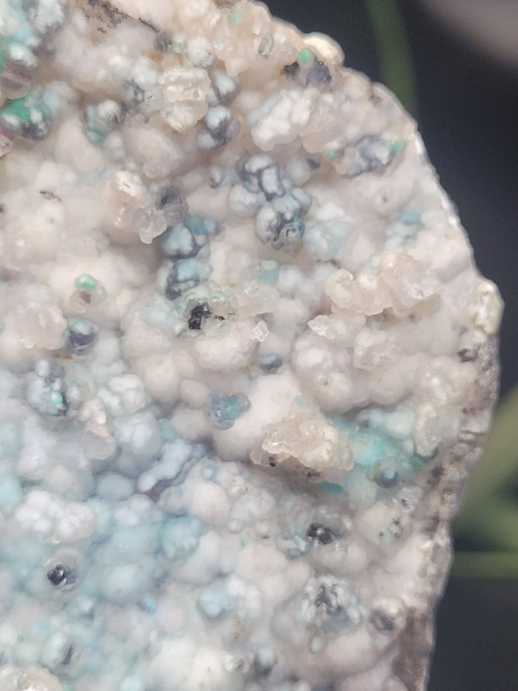 Botryoidal Chrysocolla Specimen • Dendritic Matrix