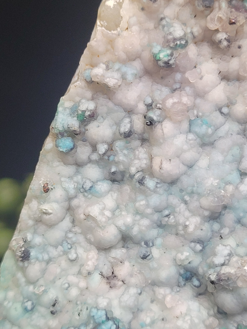 Botryoidal Chrysocolla Specimen • Dendritic Matrix