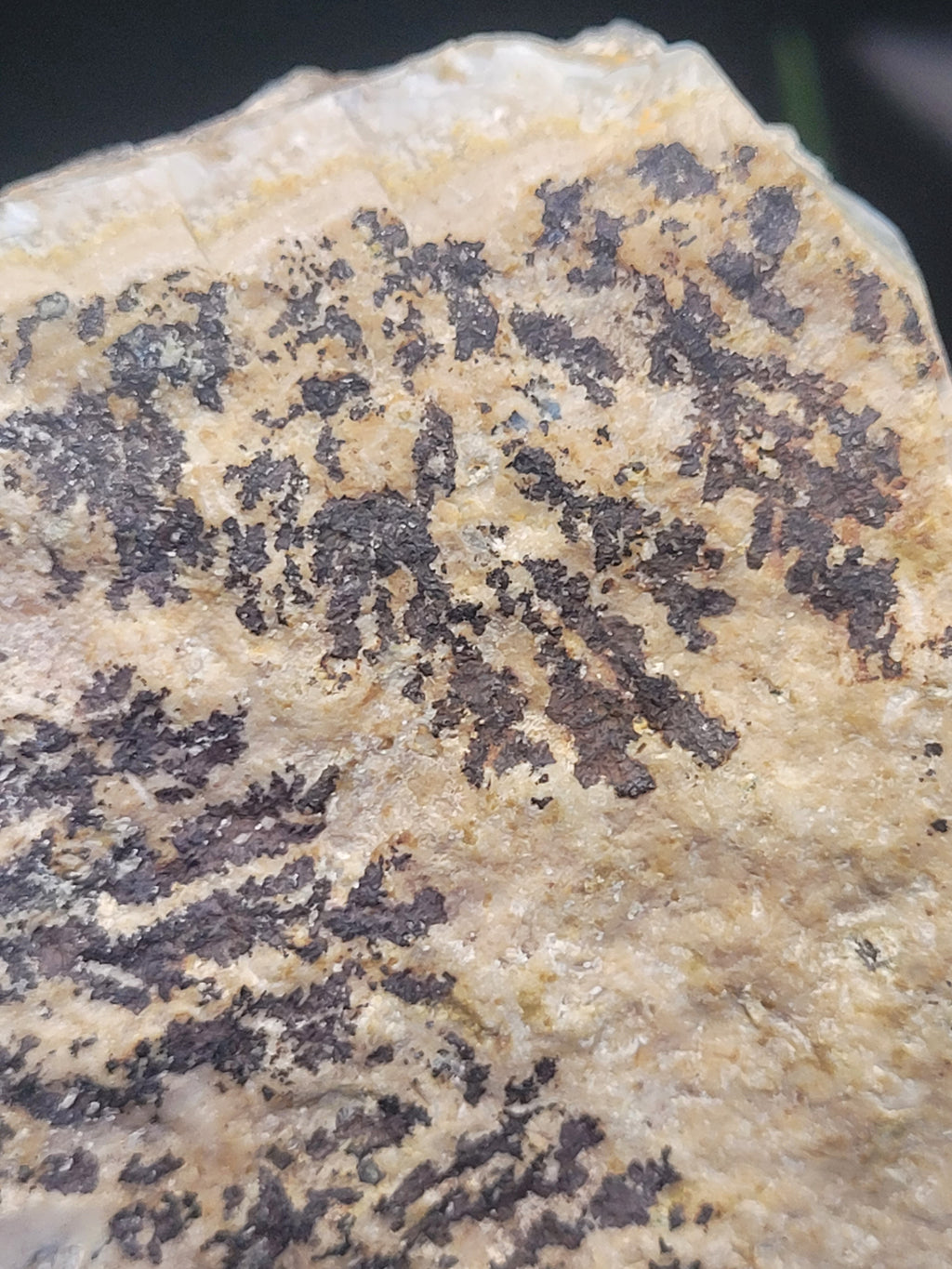 Botryoidal Chrysocolla Specimen • Dendritic Matrix