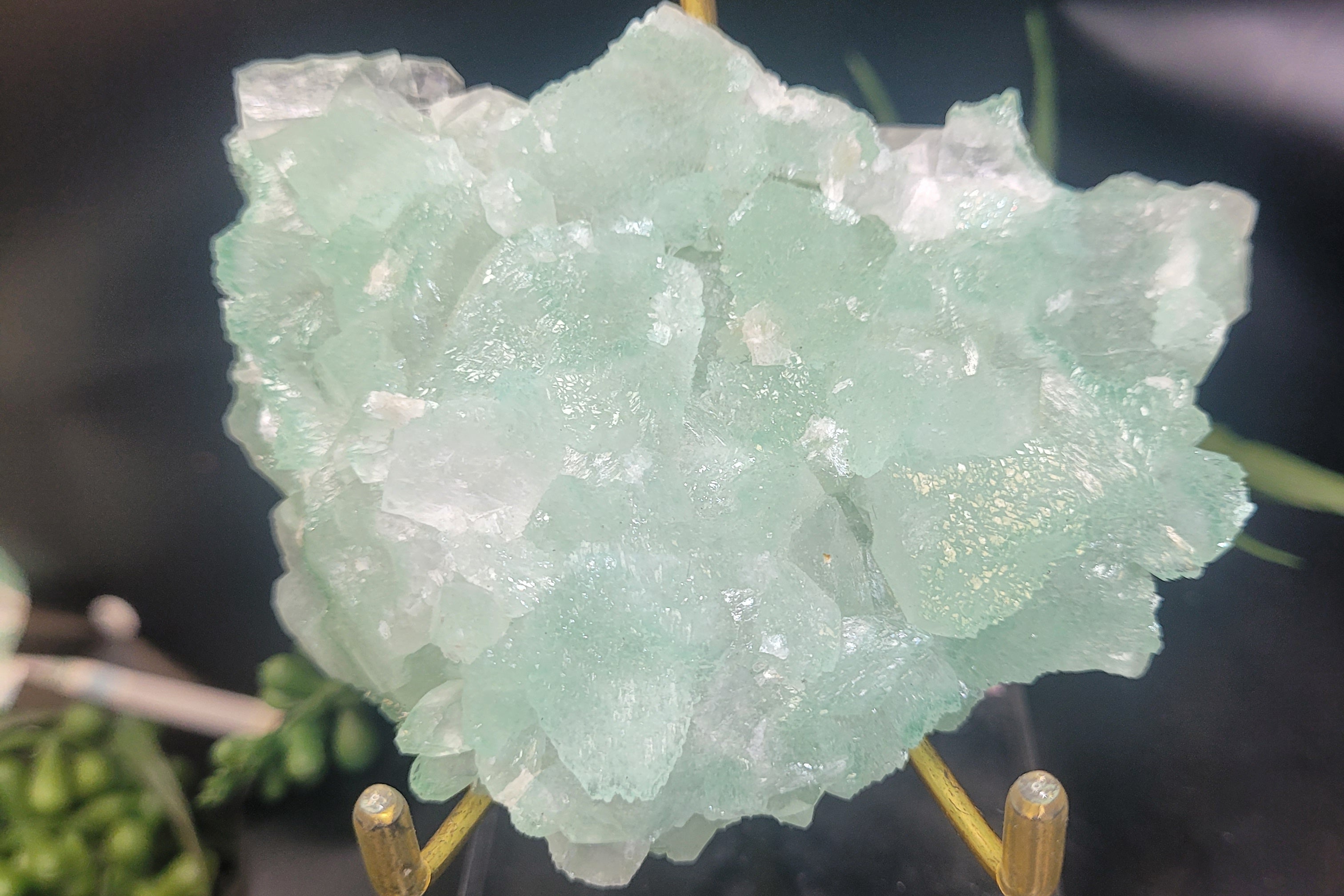 Green Apophyllite Crystal Cluster