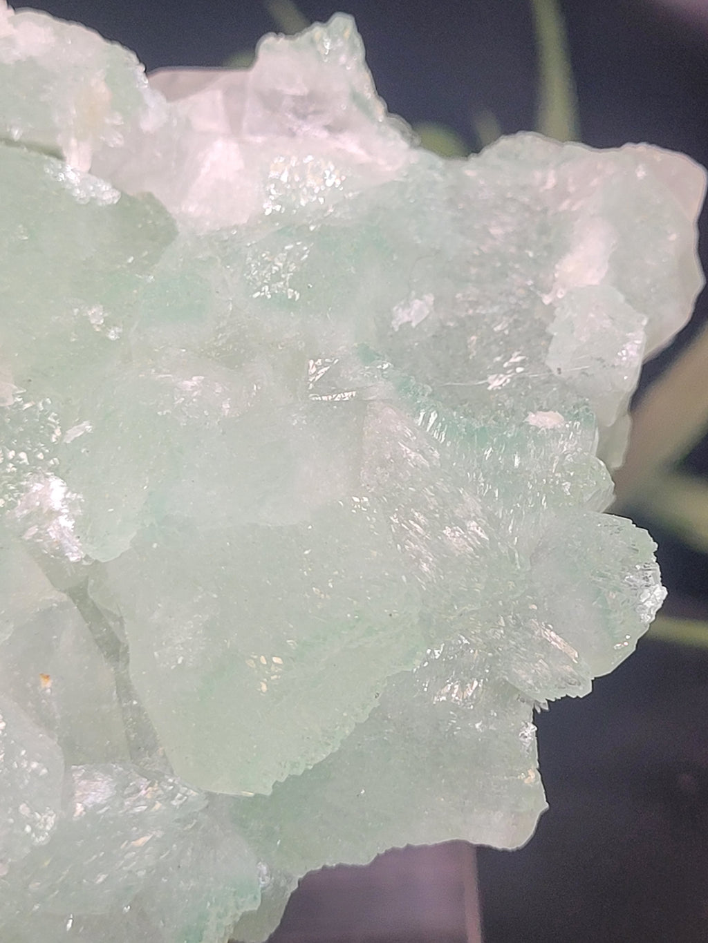 Green Apophyllite Crystal Cluster