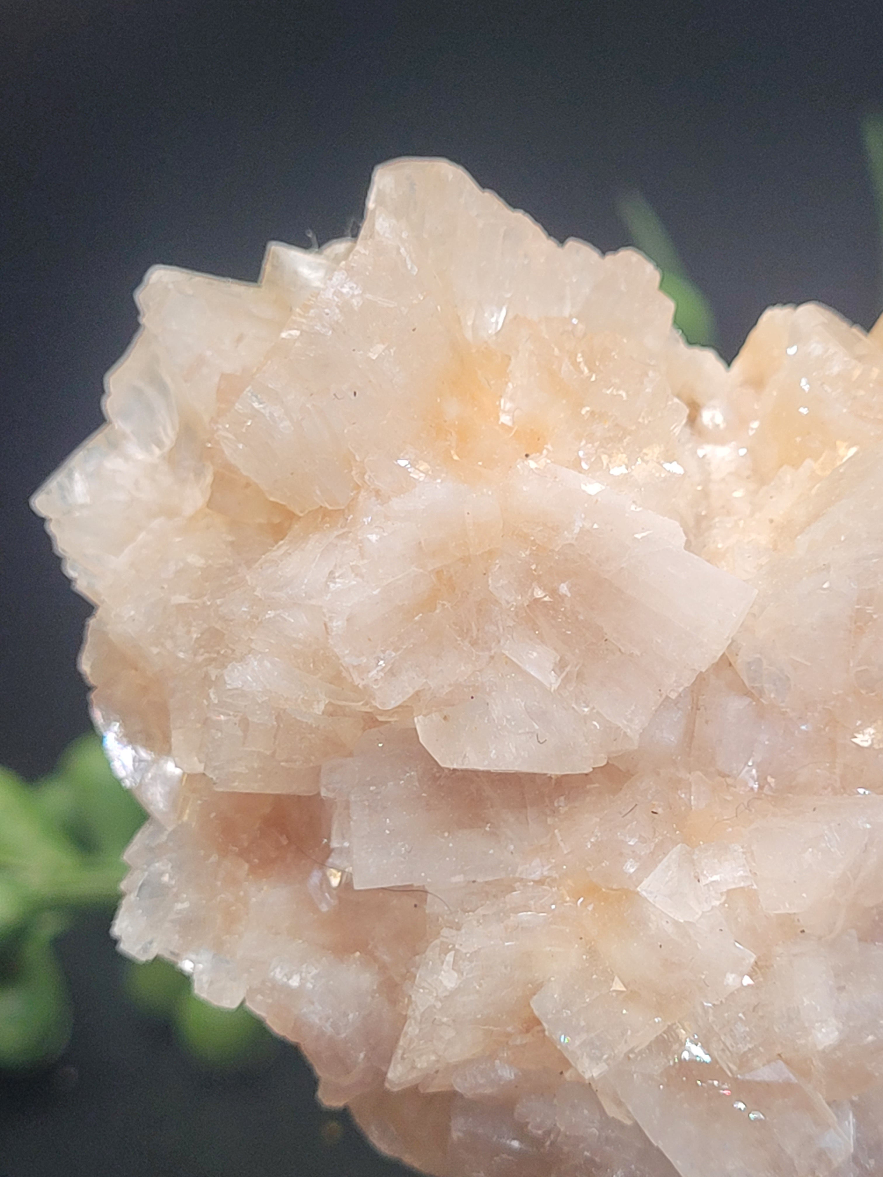 Peach Stilbite Crystal Cluster