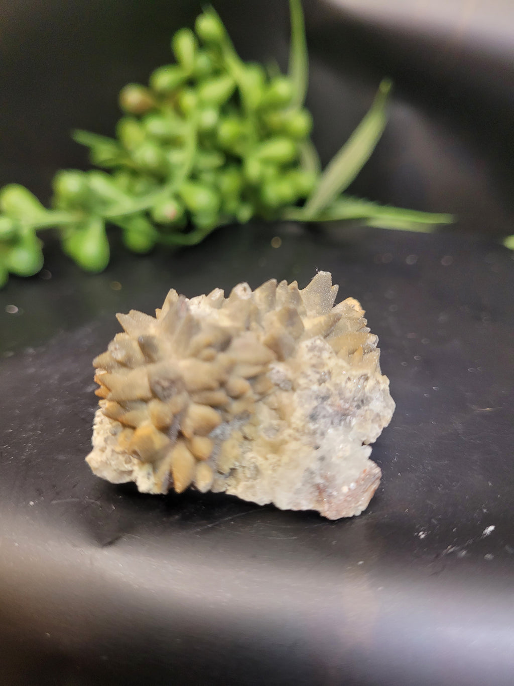 Siderite Crystal Cluster | Ojuela Mine, Mexico