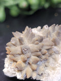Siderite Crystal Cluster | Ojuela Mine, Mexico