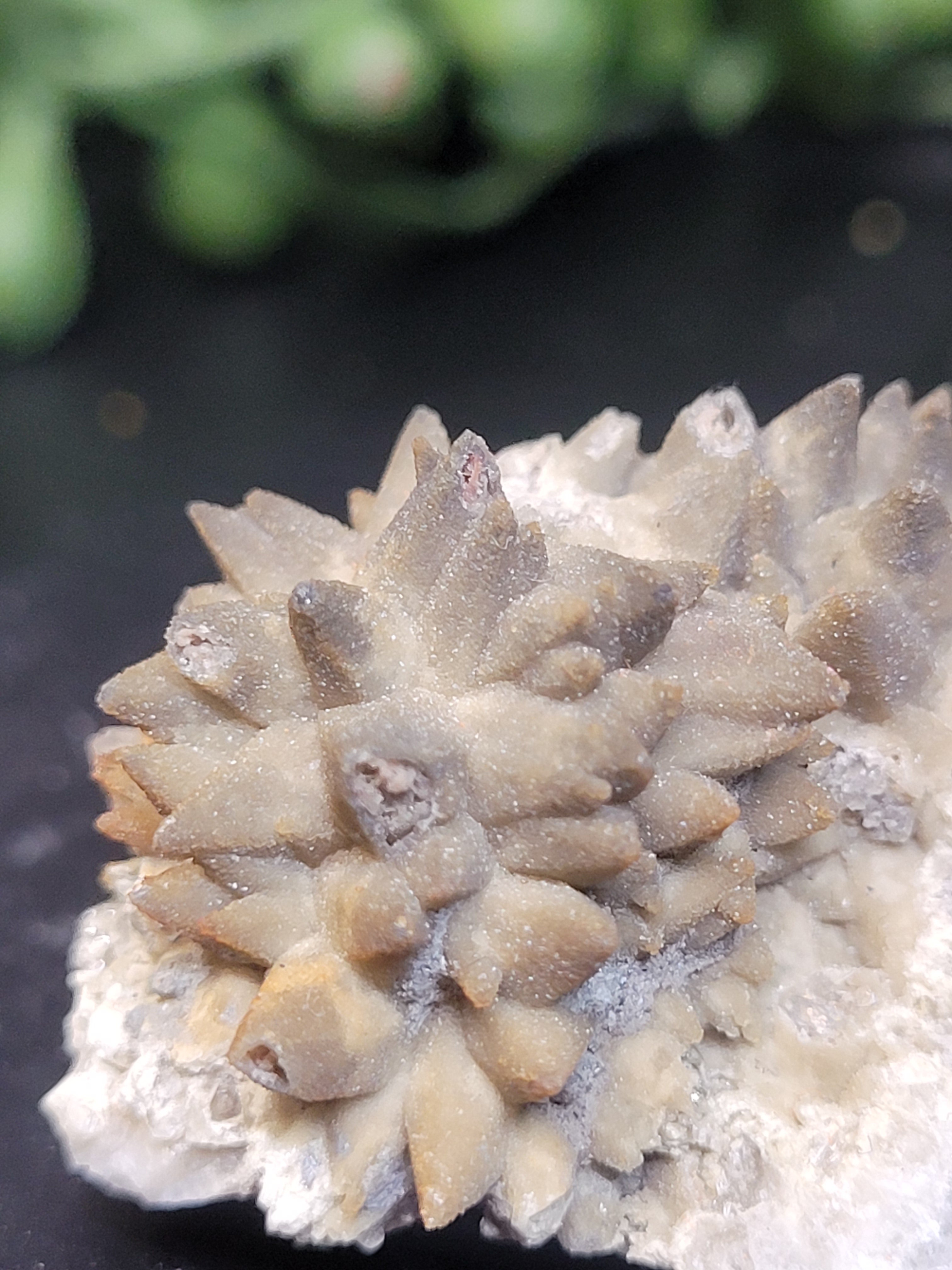 Siderite Crystal Cluster | Ojuela Mine, Mexico