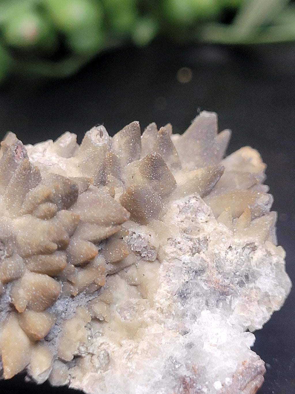 Siderite Crystal Cluster | Ojuela Mine, Mexico