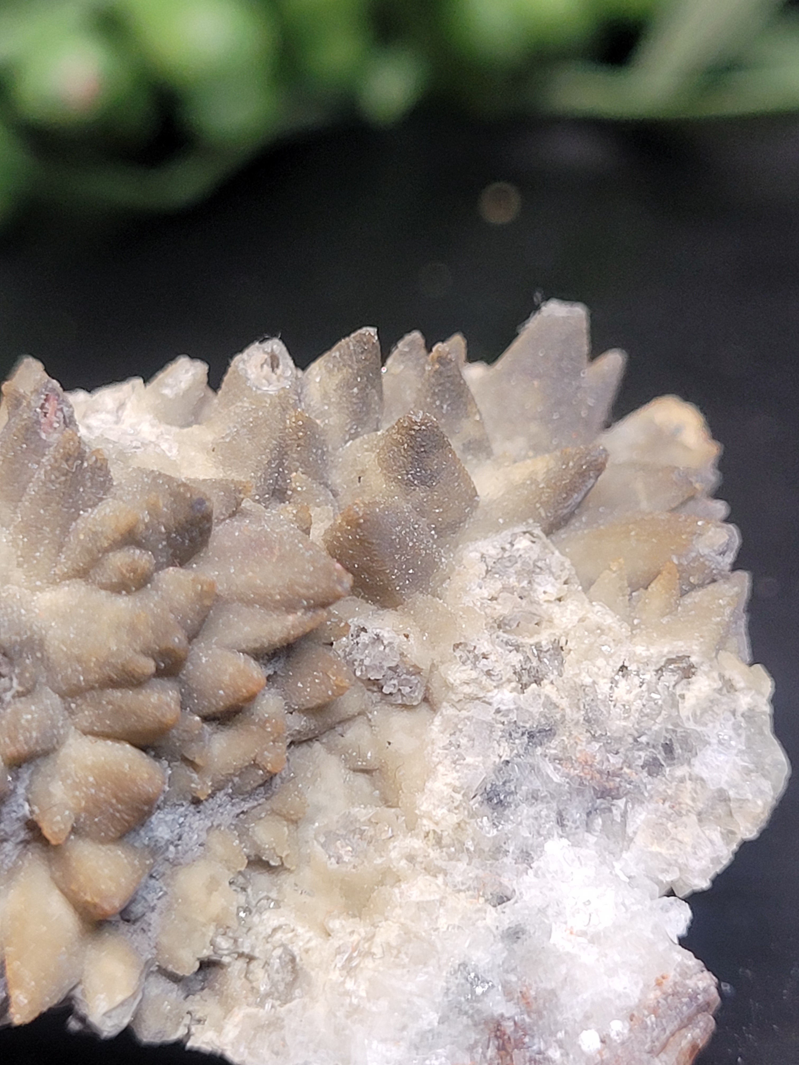 Siderite Crystal Cluster | Ojuela Mine, Mexico