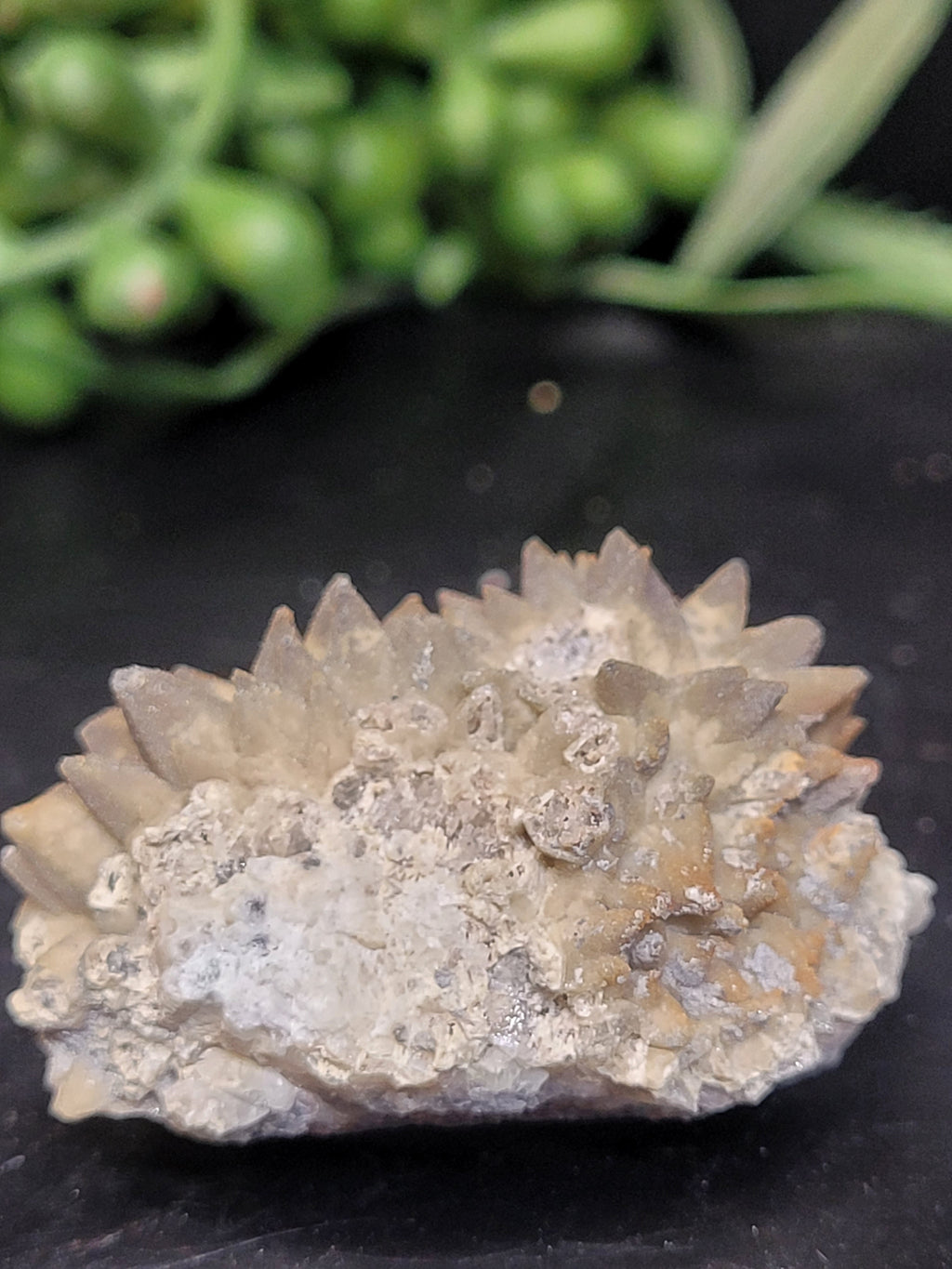 Siderite Crystal Cluster | Ojuela Mine, Mexico
