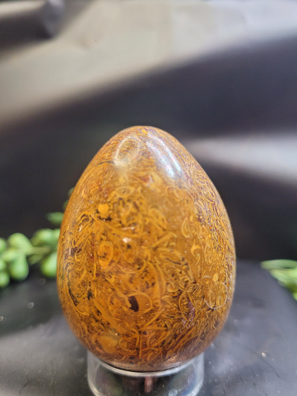 Calligraphy Jasper Egg • Intricate Script Pattern