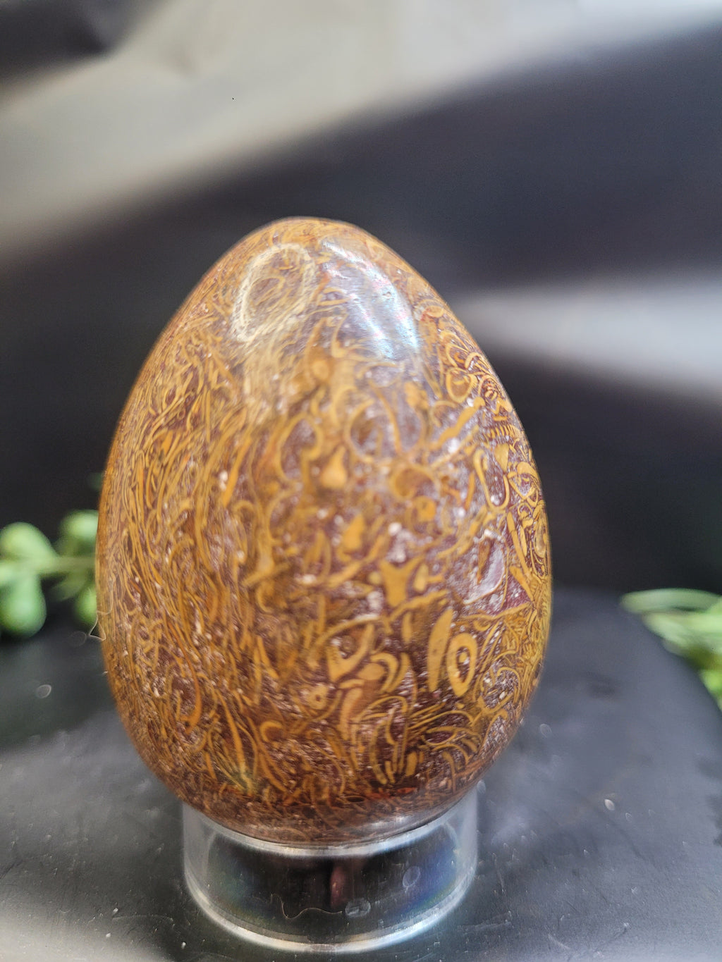 Calligraphy Jasper Egg • Intricate Script Pattern