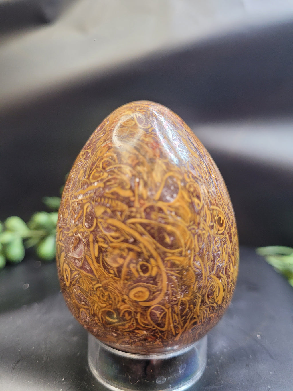 Calligraphy Jasper Egg • Intricate Script Pattern