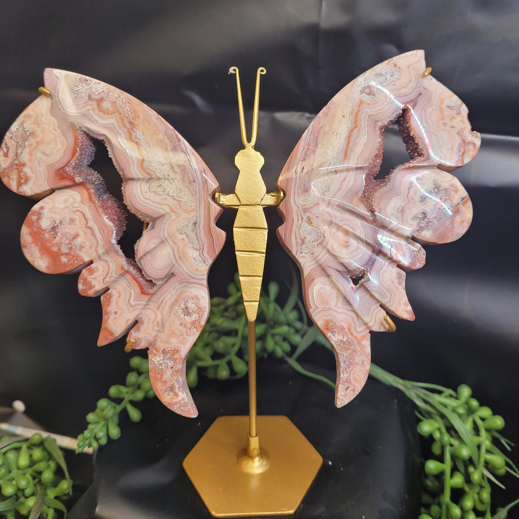 Pink Crazy Lace Agate Butterfly Wings with Druzy
