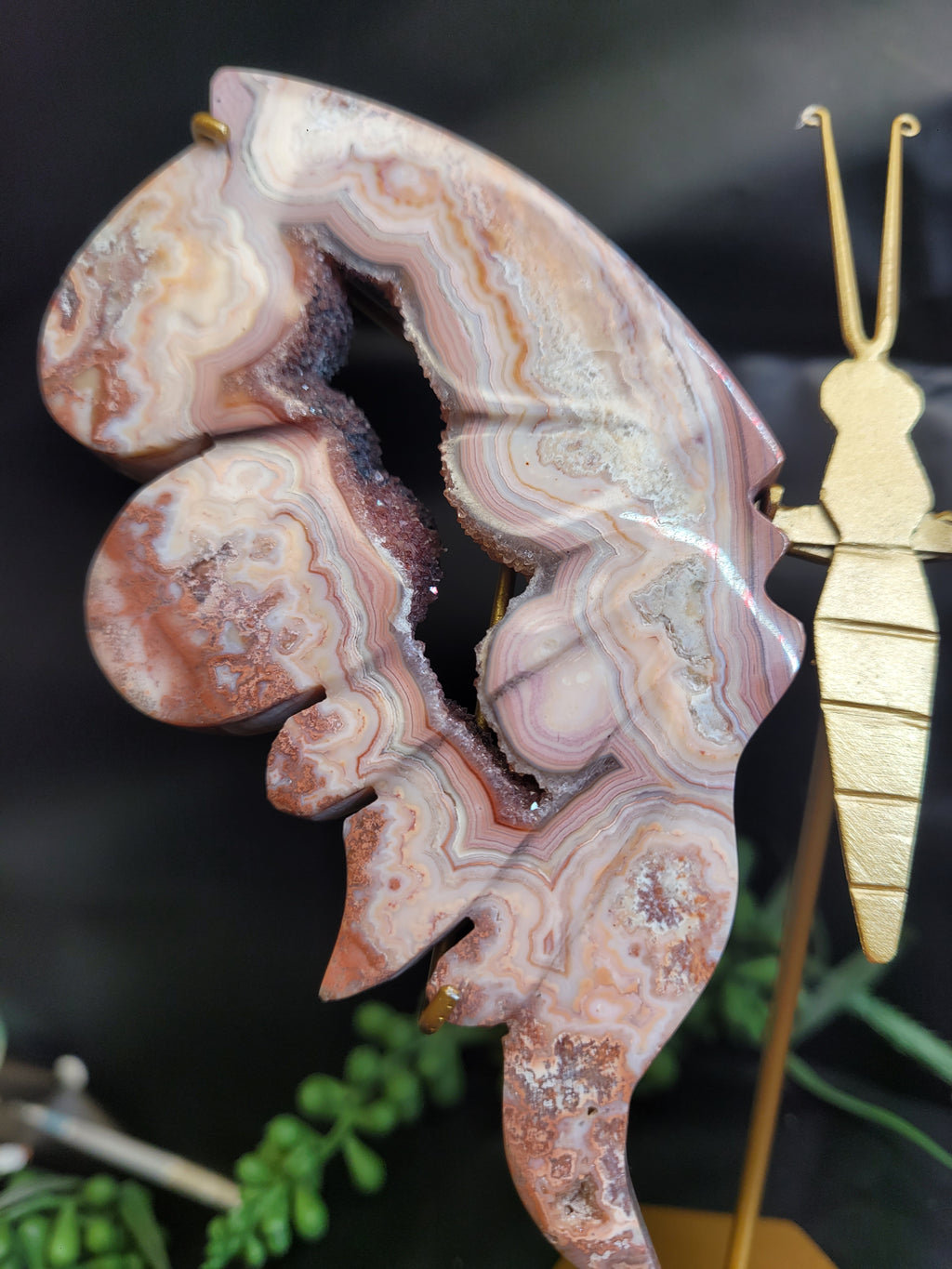 Pink Crazy Lace Agate Butterfly Wings with Druzy