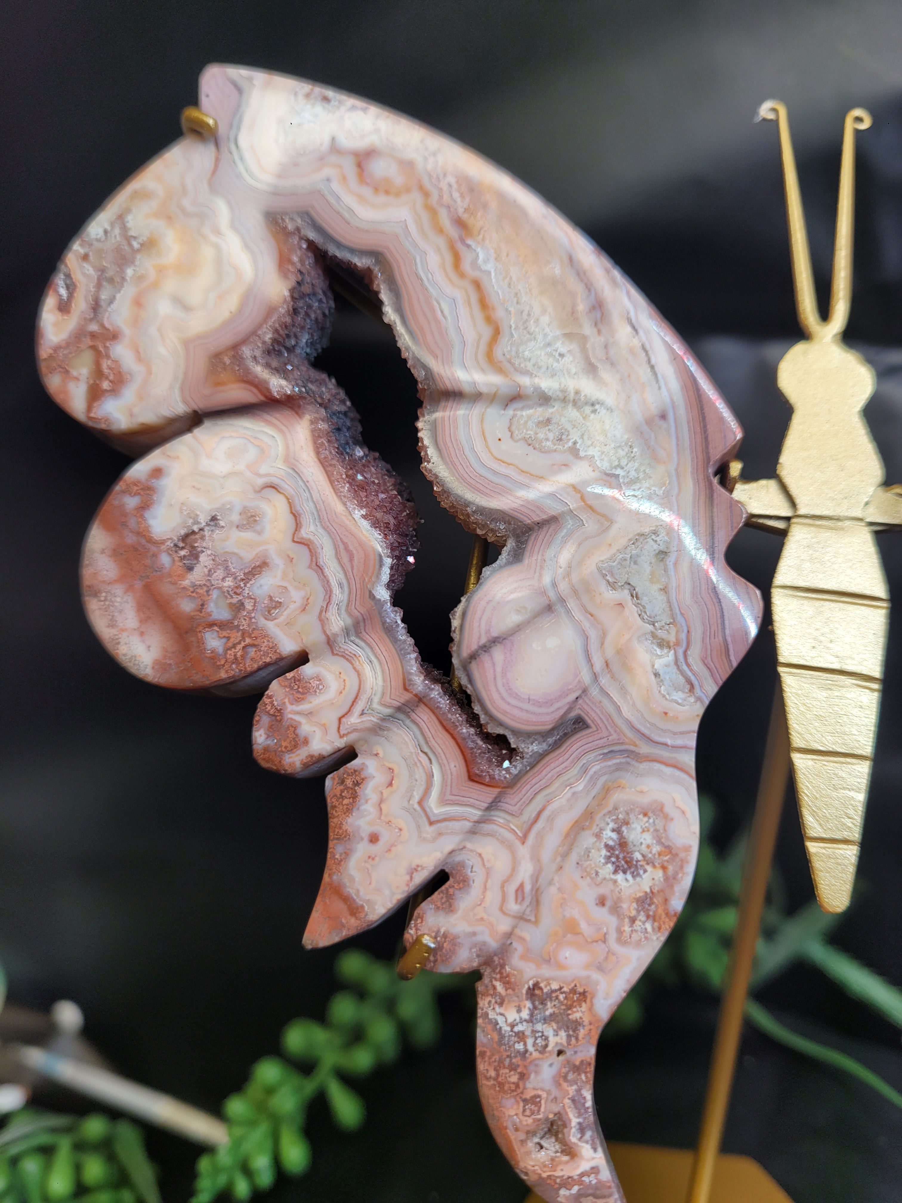 Pink Crazy Lace Agate Butterfly Wings with Druzy