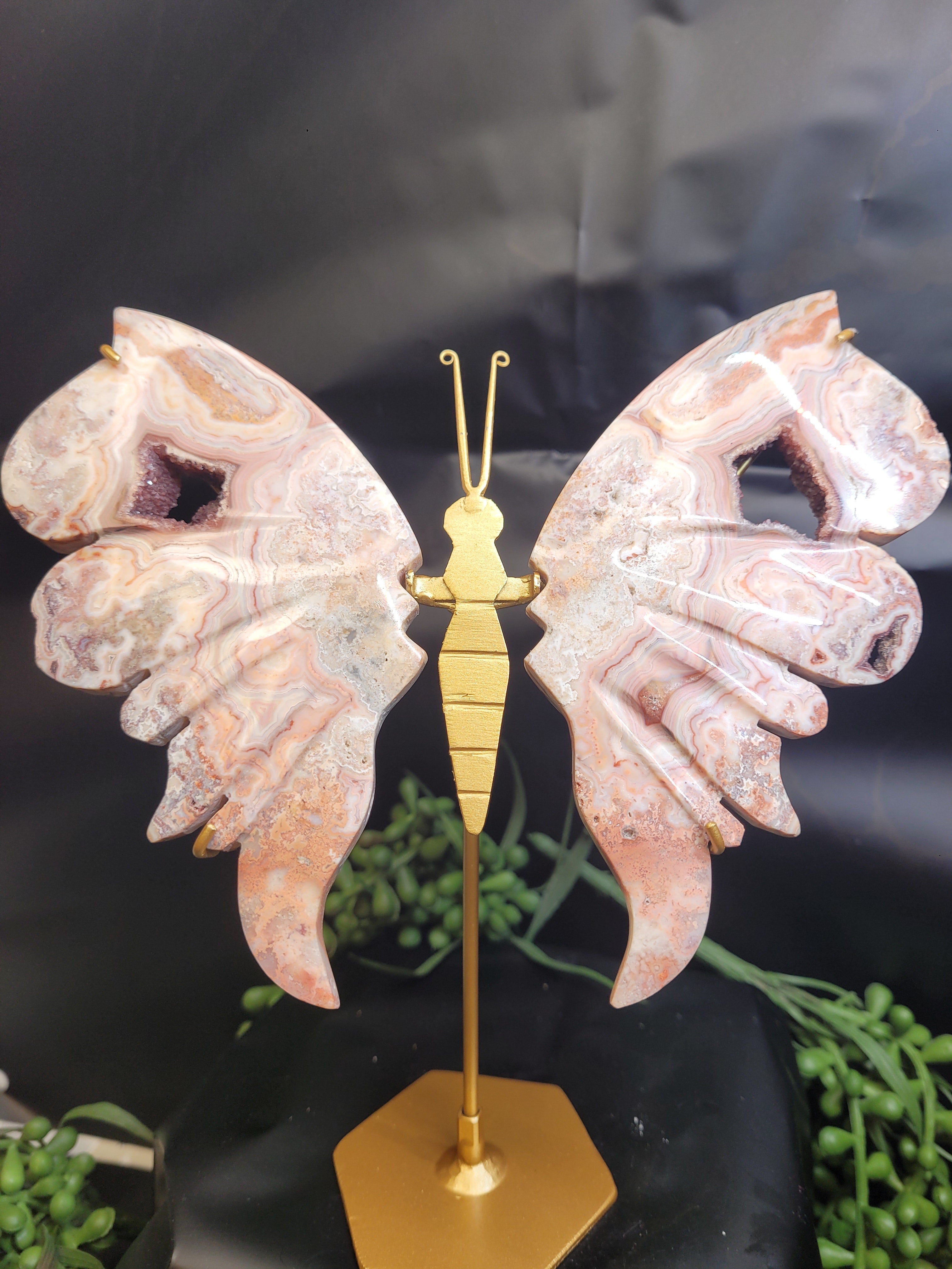 Pink Crazy Lace Agate Butterfly Wings with Druzy