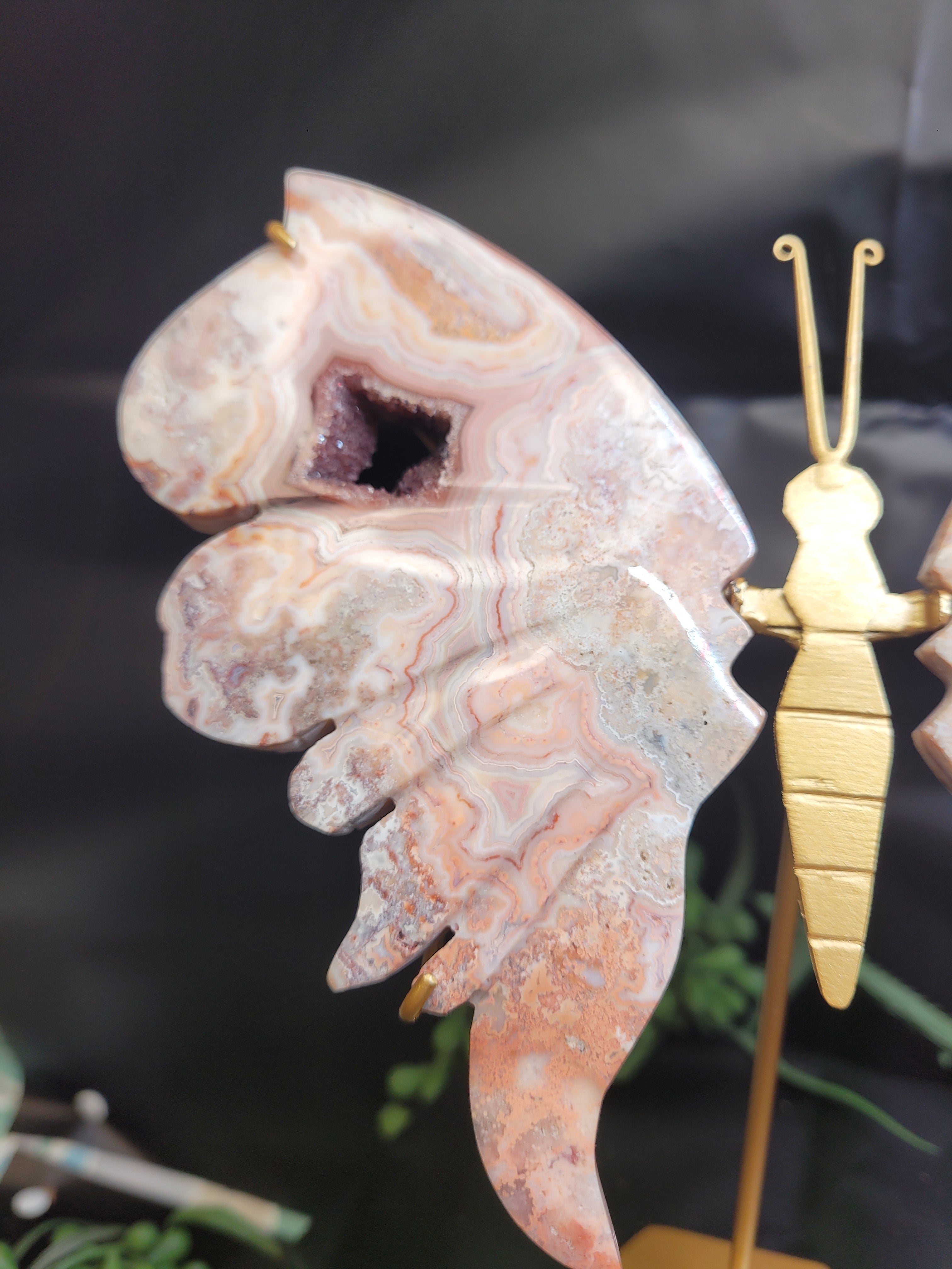 Pink Crazy Lace Agate Butterfly Wings with Druzy