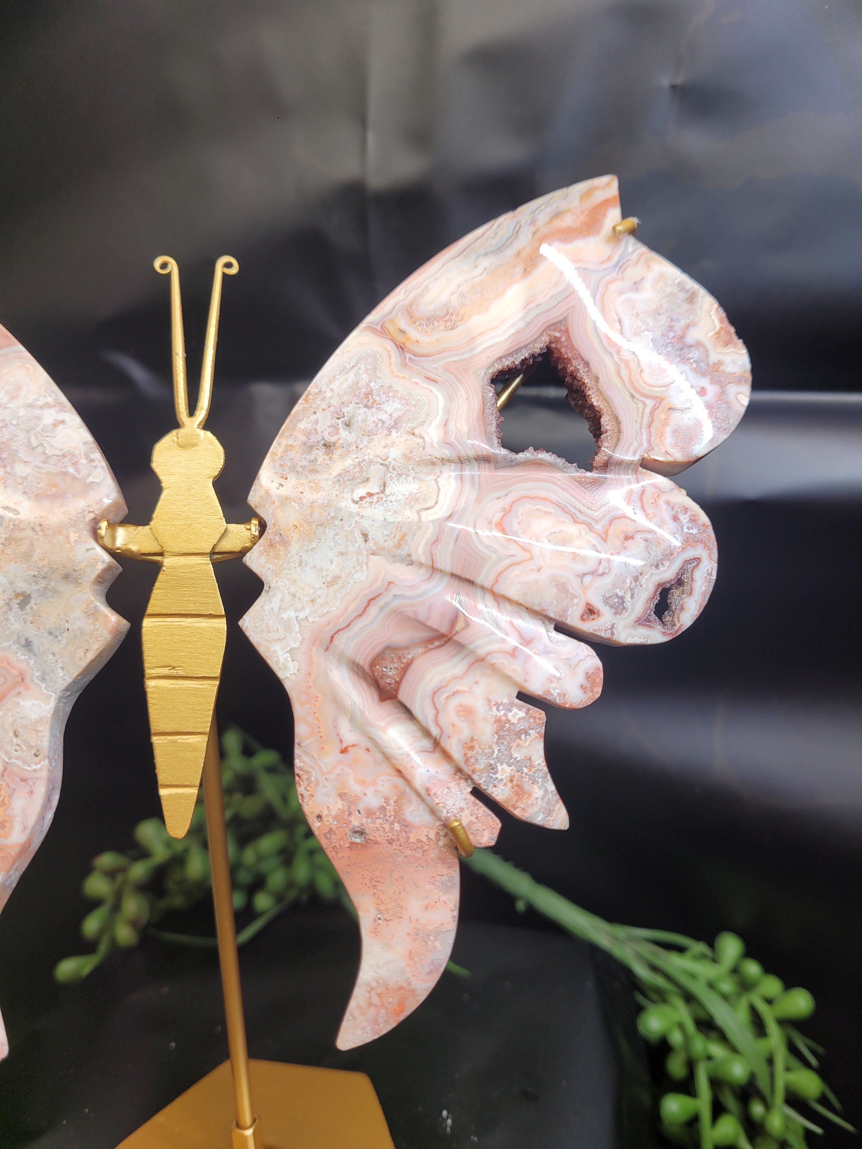 Pink Crazy Lace Agate Butterfly Wings with Druzy