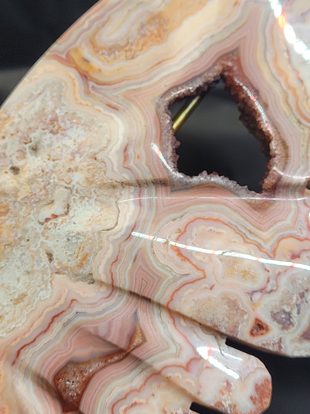 Pink Crazy Lace Agate Butterfly Wings with Druzy