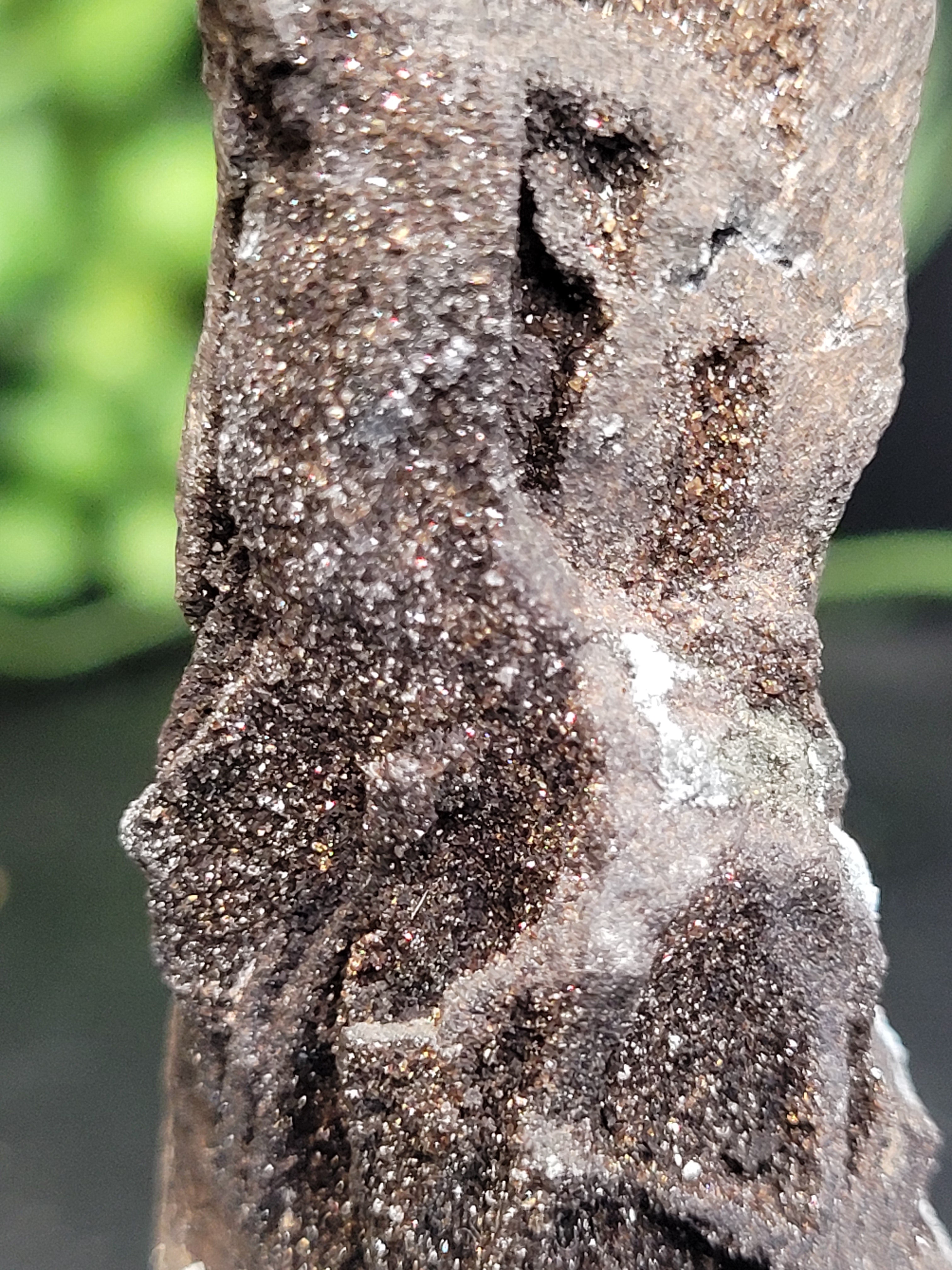 Petrified Wood Druzy Specimen on Stand