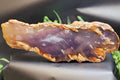 Purple Chalcedony Display Slab