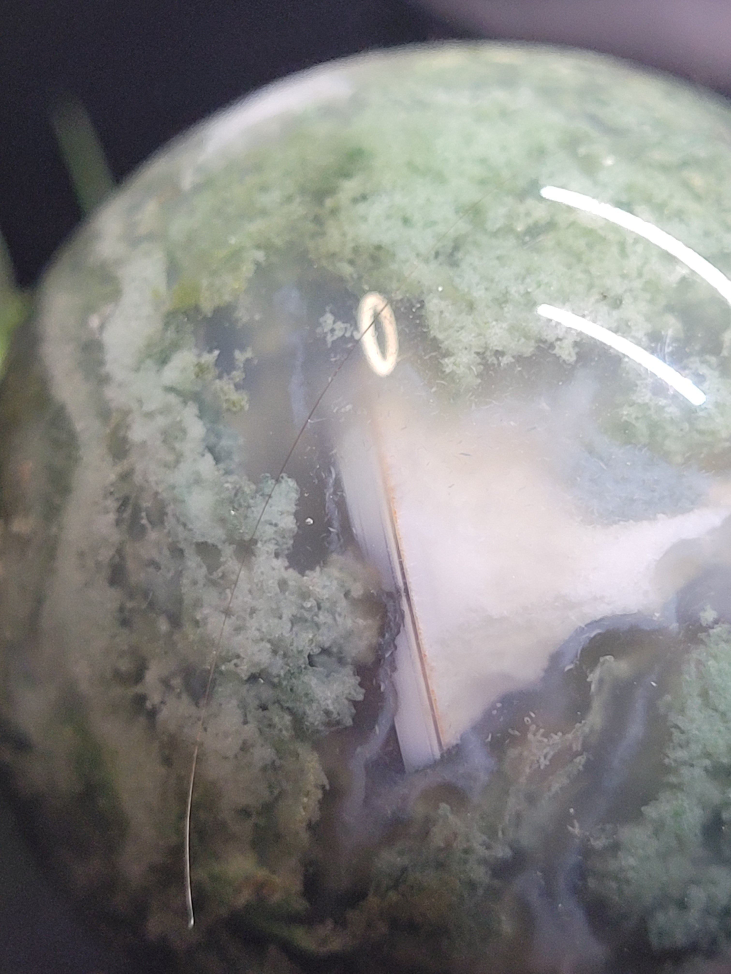 Moss Agate Sphere with Natural Vug