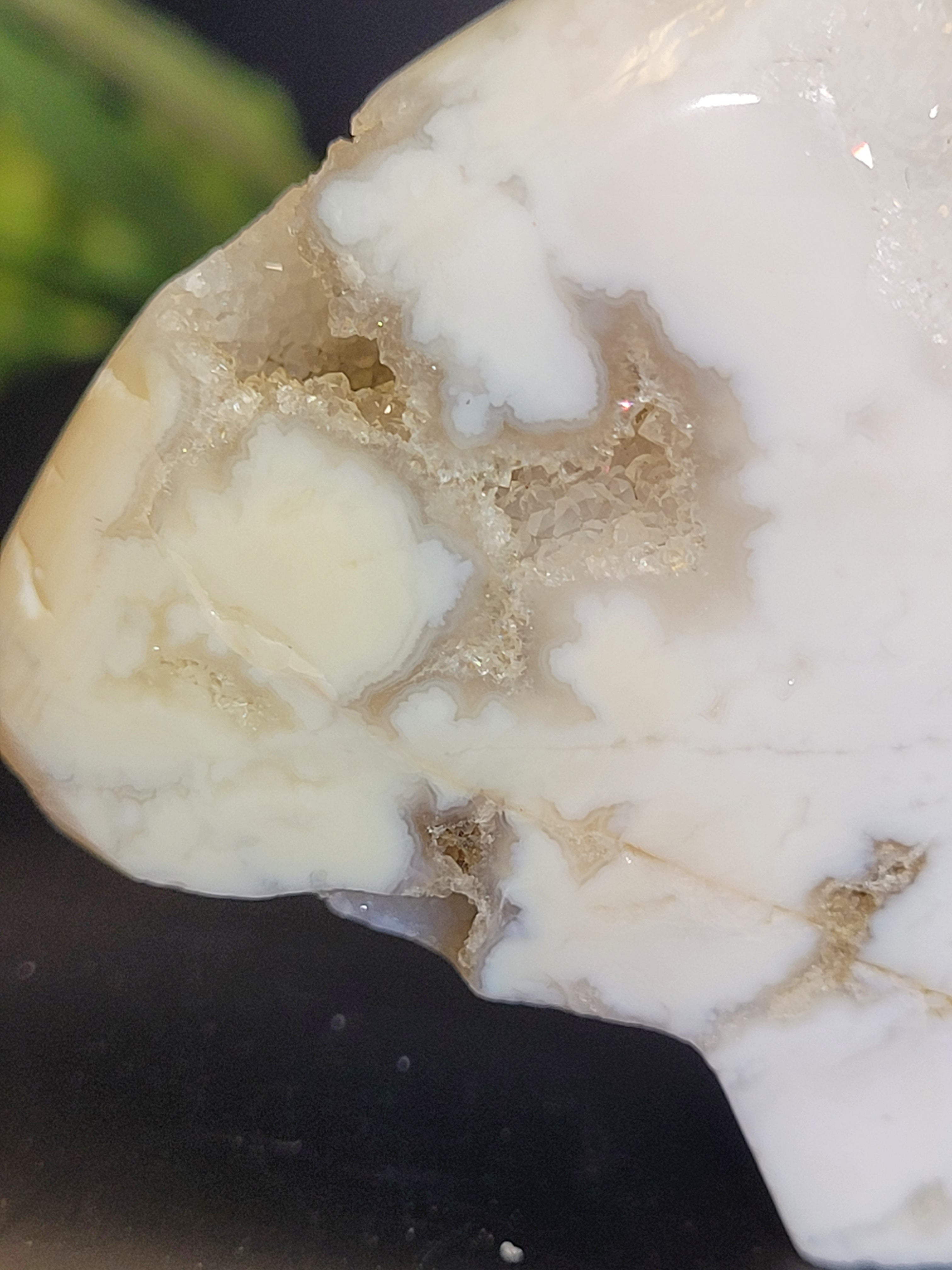 White Plume Agate Bear • Natural Quartz Vugs