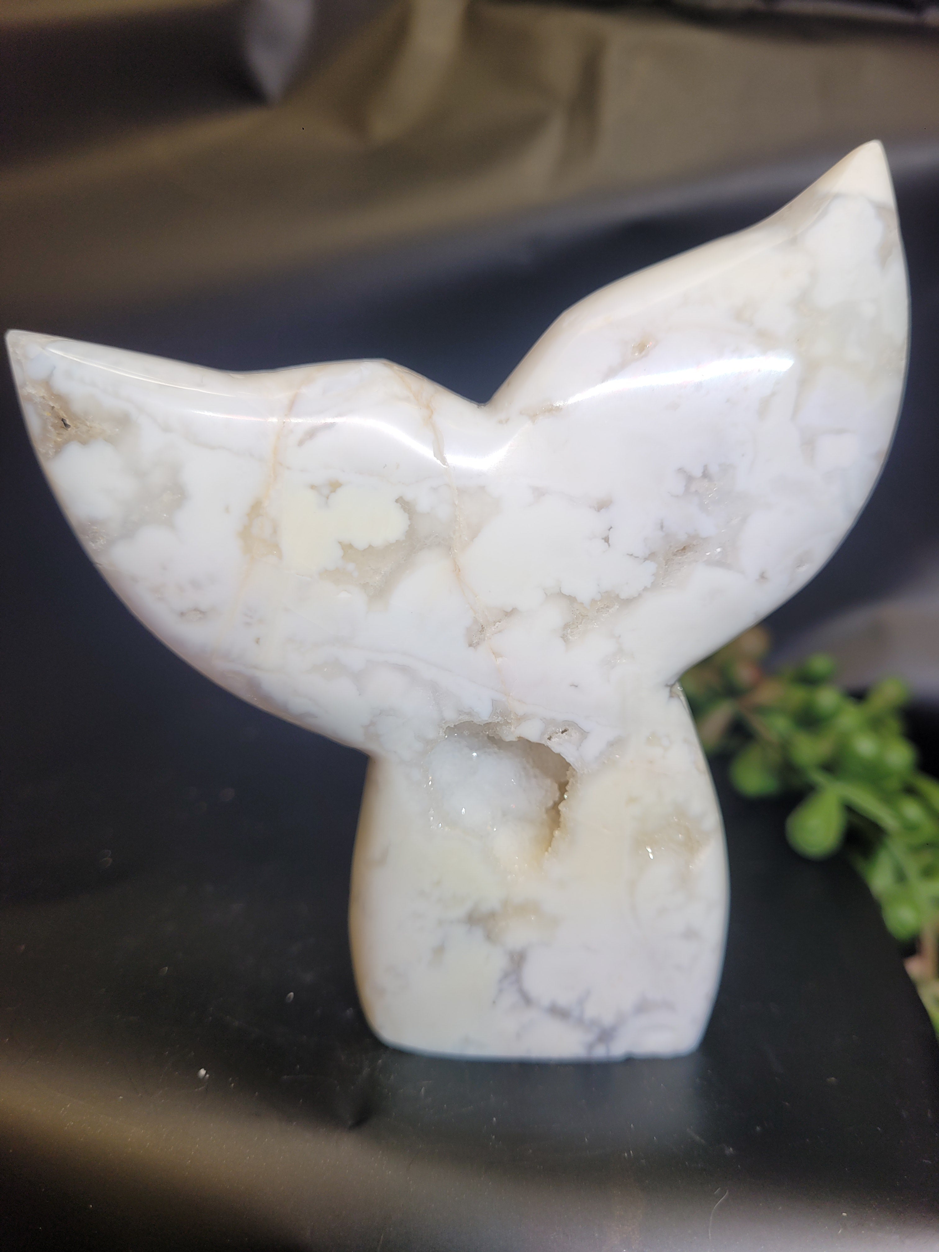 White Plume Agate Whale Tail • Druzy Pocket