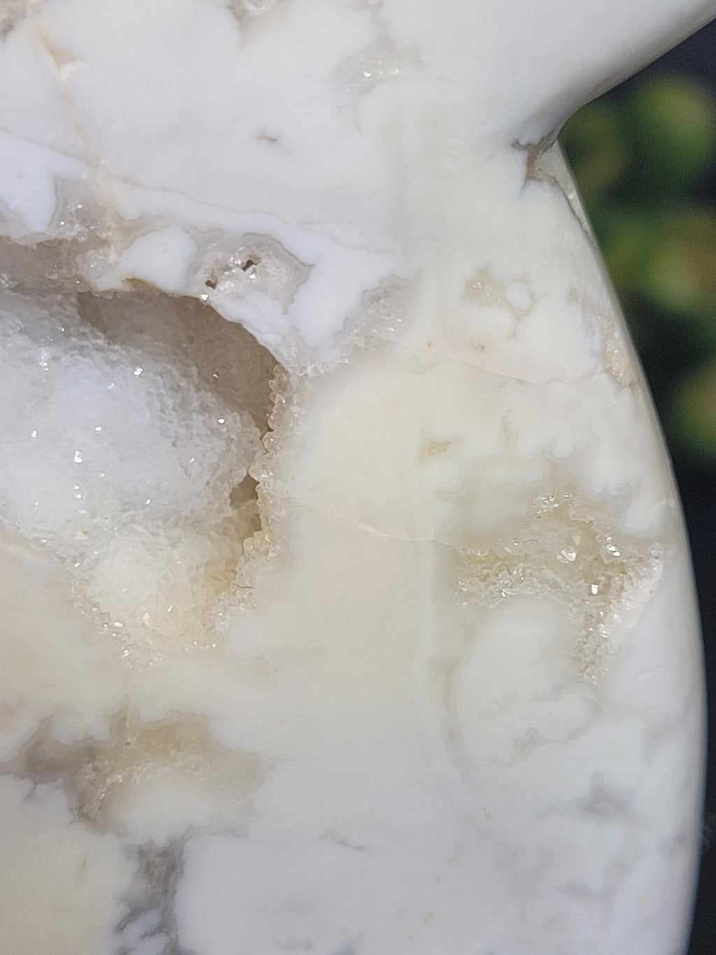 White Plume Agate Whale Tail • Druzy Pocket