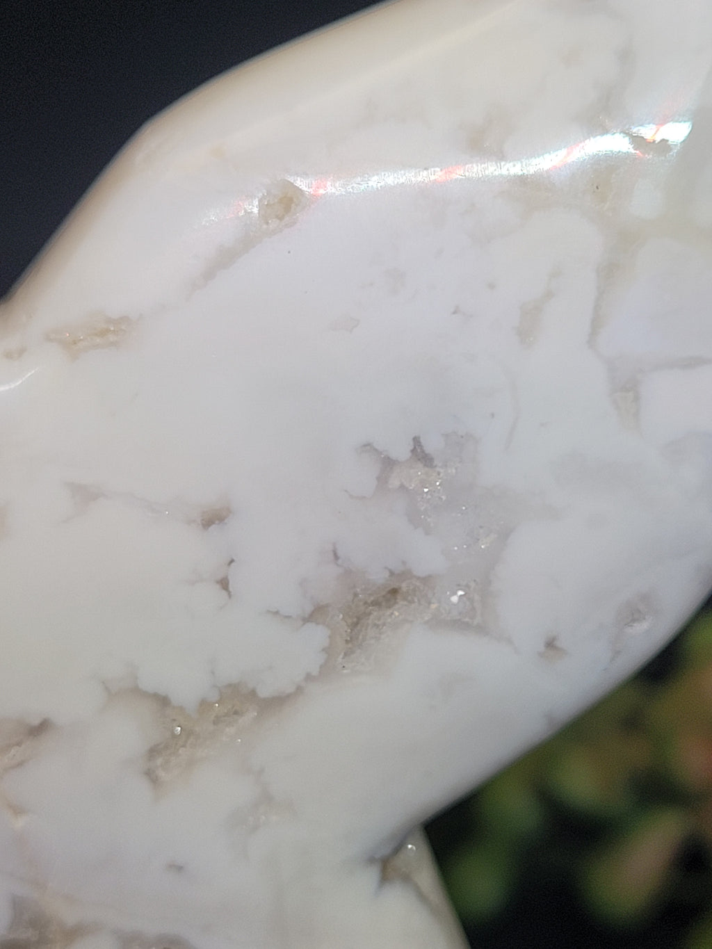 White Plume Agate Whale Tail • Druzy Pocket
