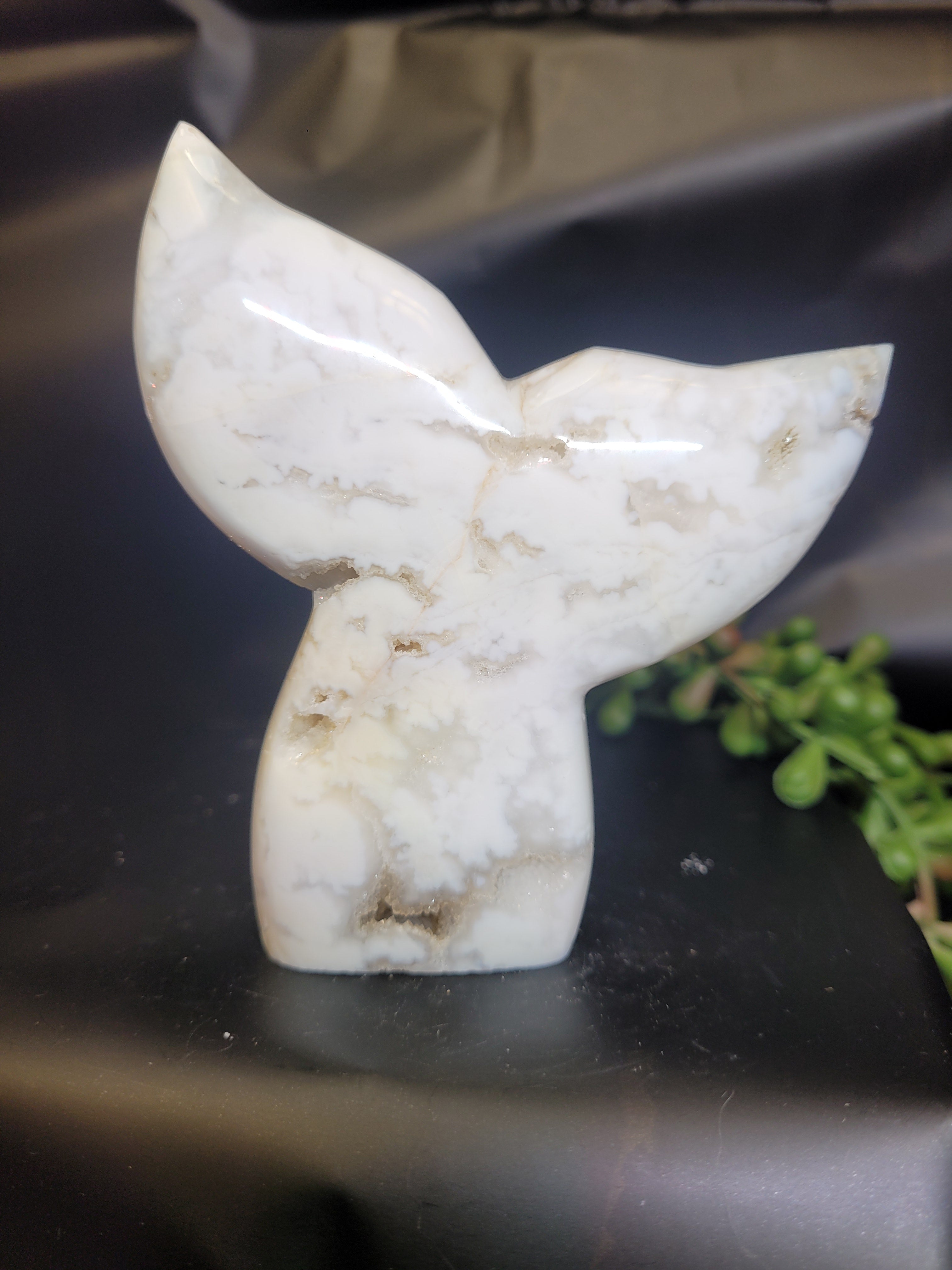 White Plume Agate Whale Tail • Druzy Pocket