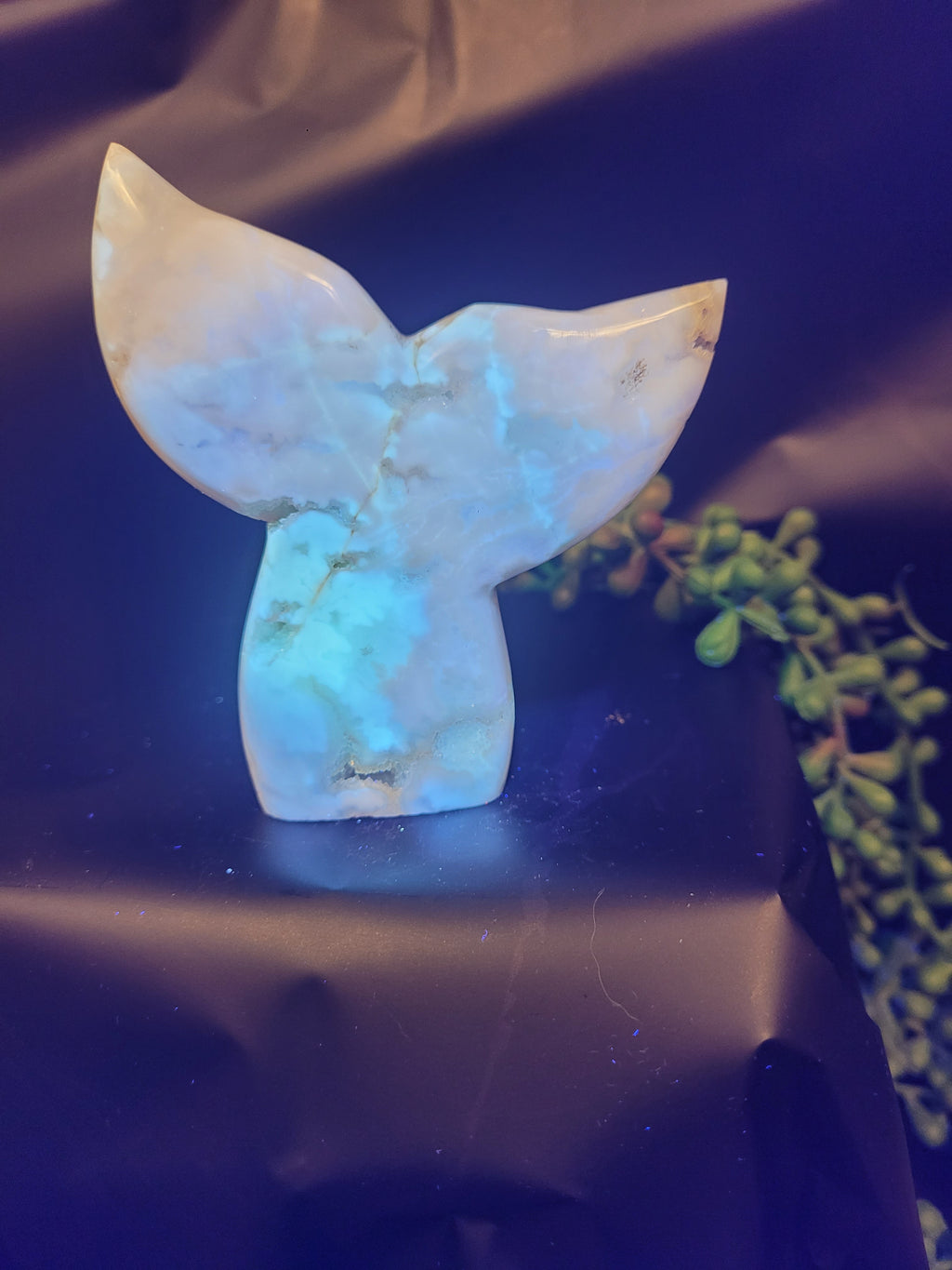 White Plume Agate Whale Tail • Druzy Pocket