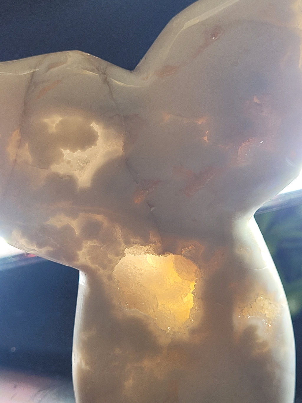 White Plume Agate Whale Tail • Druzy Pocket
