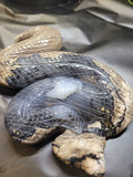 Volcano Agate Snake Carving - Natural UV Fluorescence