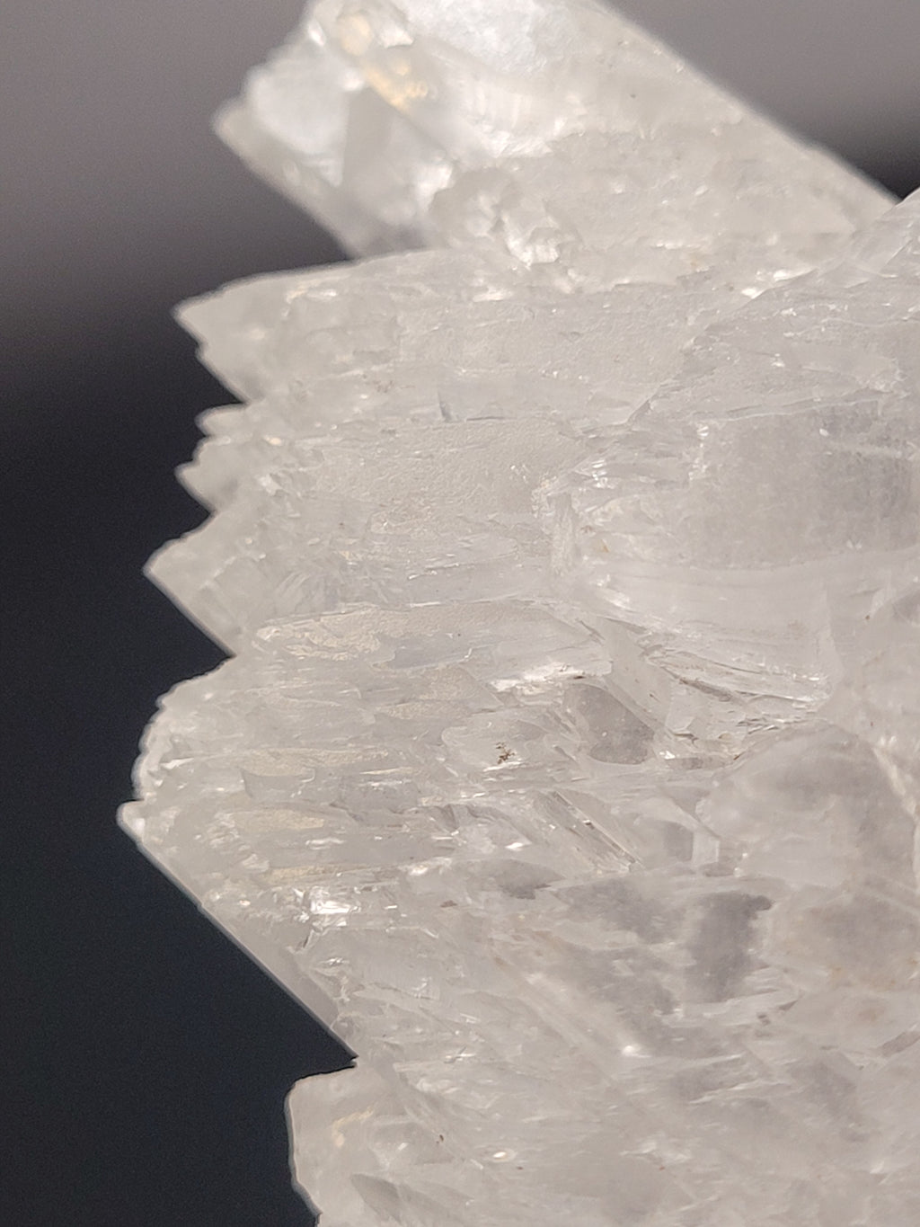 Angel Wing Selenite Cluster | Natural Satin Spar Gypsum Crystal