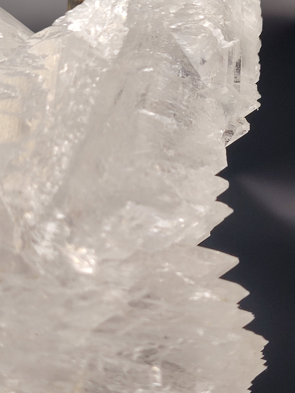 Angel Wing Selenite Cluster | Natural Satin Spar Gypsum Crystal