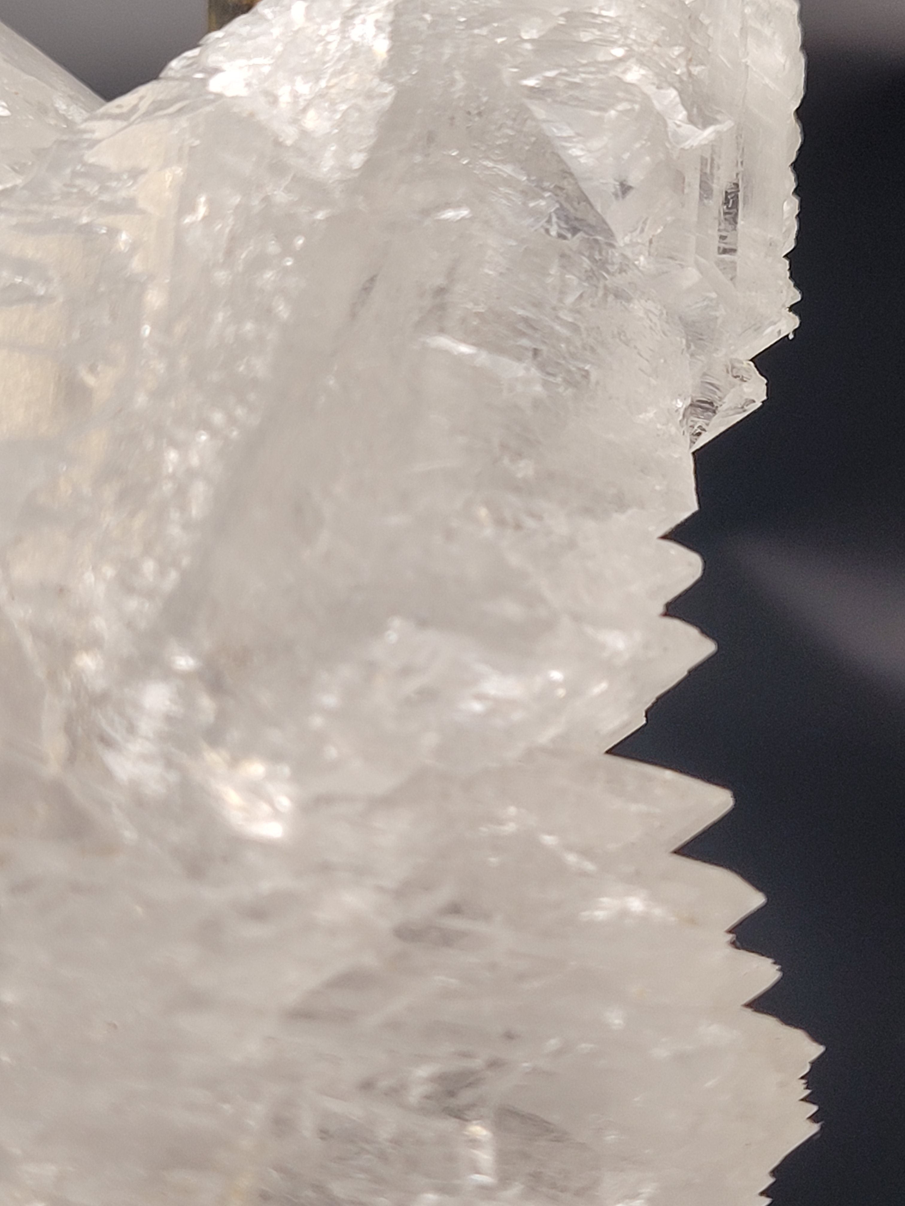 Angel Wing Selenite Cluster | Natural Satin Spar Gypsum Crystal