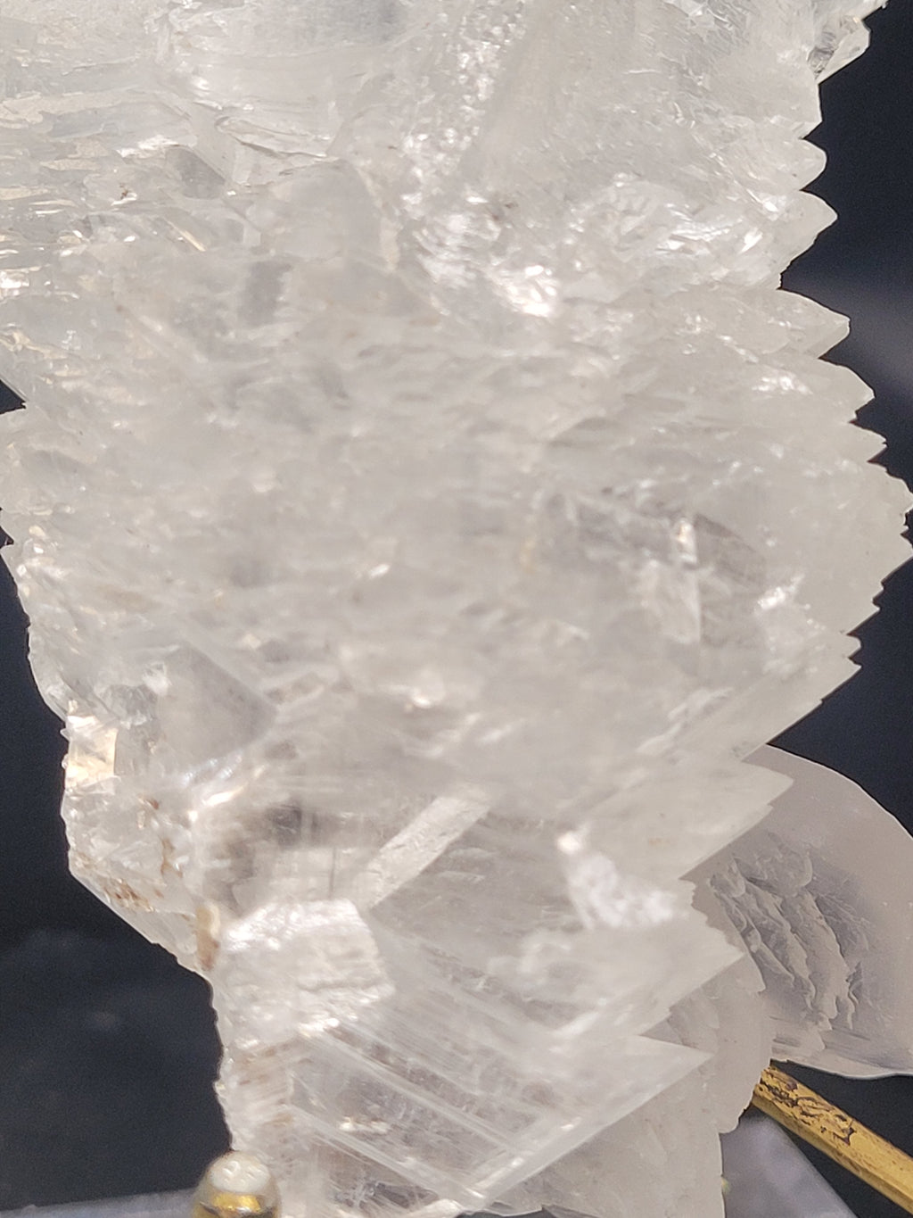 Angel Wing Selenite Cluster | Natural Satin Spar Gypsum Crystal
