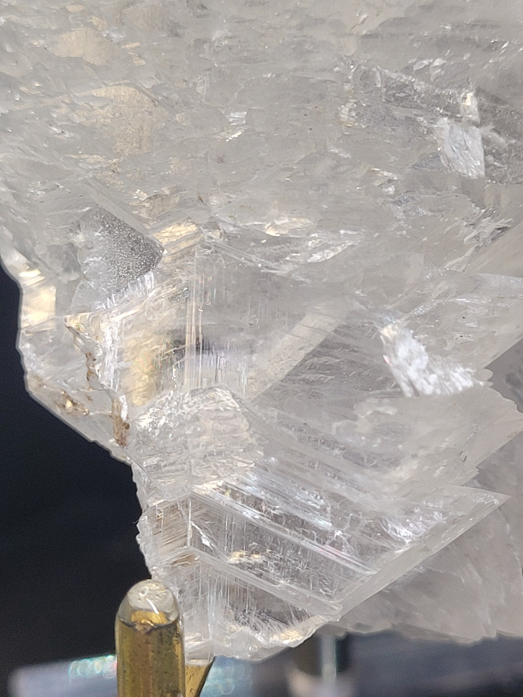 Angel Wing Selenite Cluster | Natural Satin Spar Gypsum Crystal