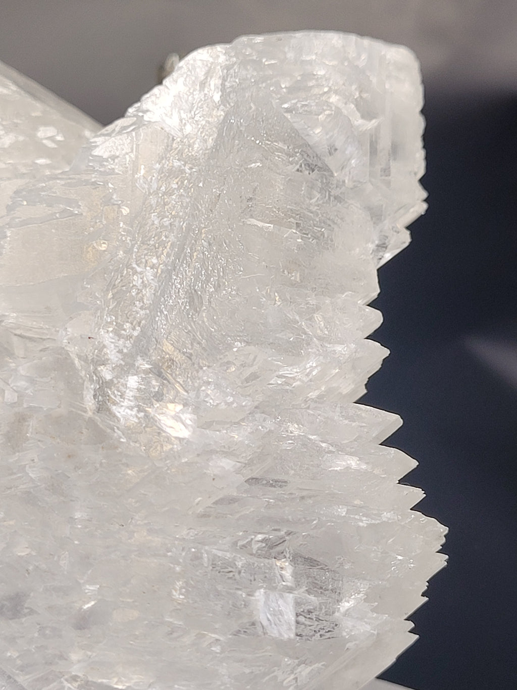 Angel Wing Selenite Cluster | Natural Satin Spar Gypsum Crystal