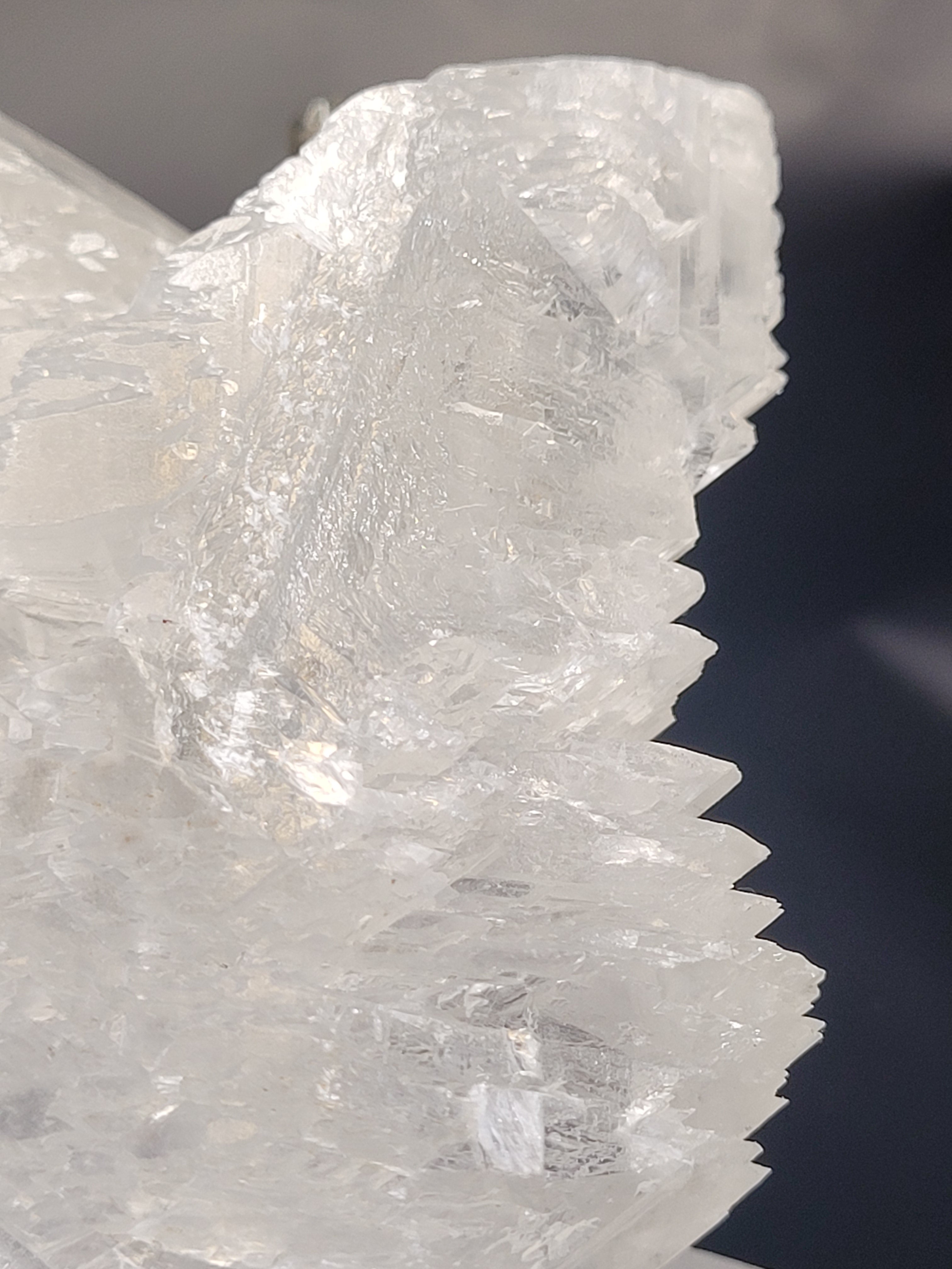 Angel Wing Selenite Cluster | Natural Satin Spar Gypsum Crystal