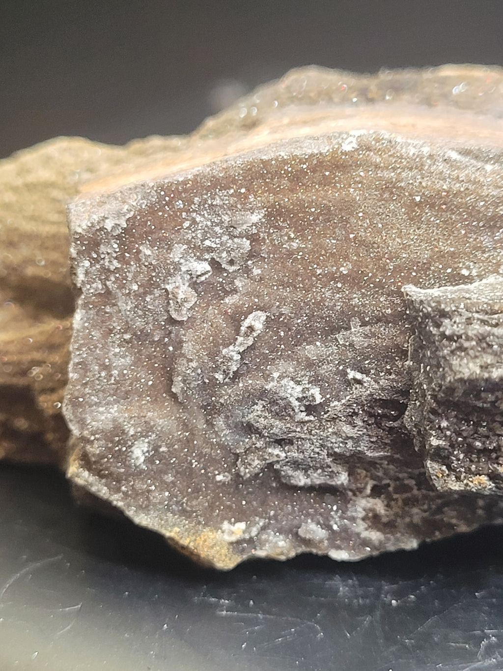 Druzy Petrified Wood Specimen