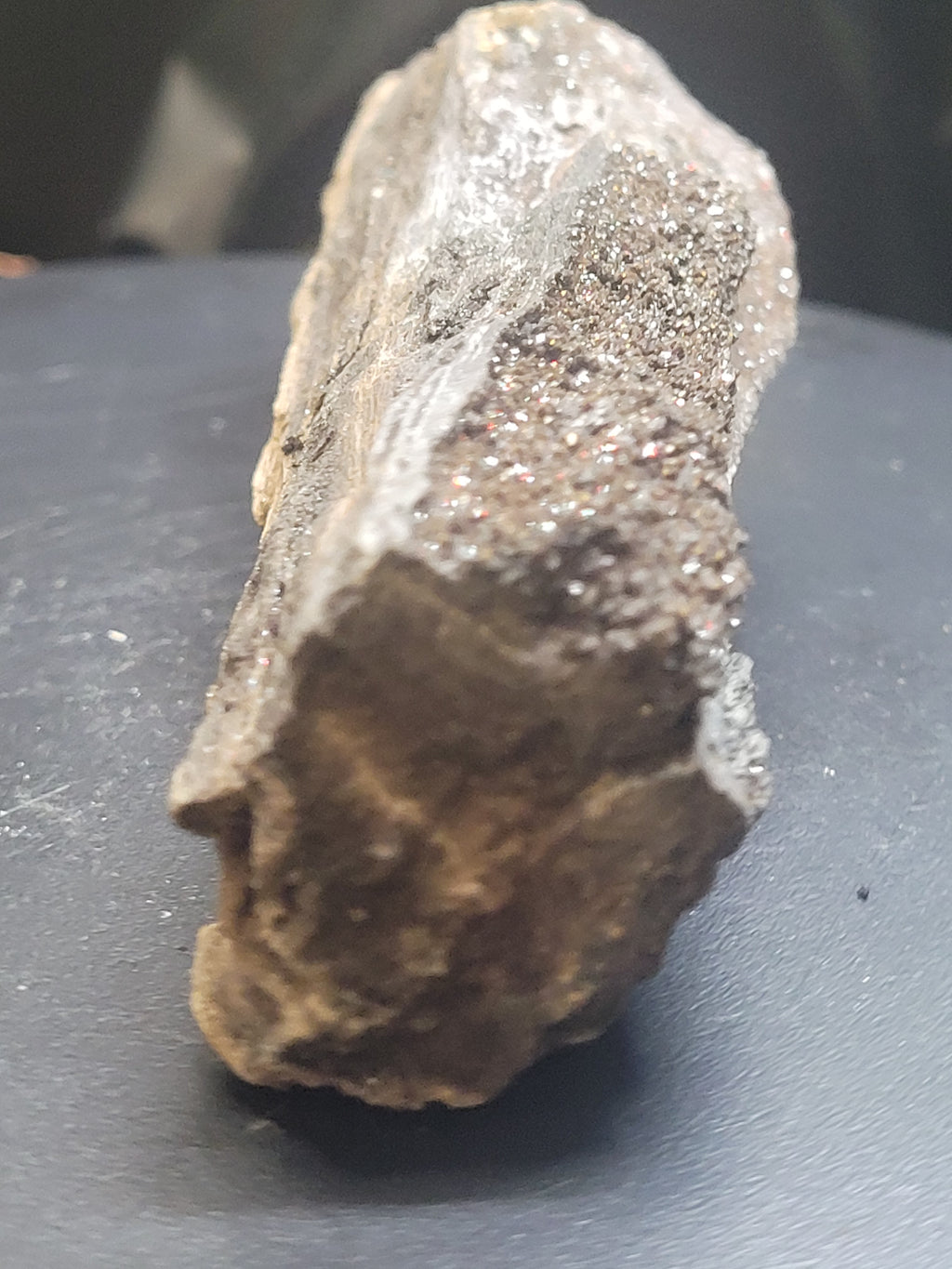 Druzy Petrified Wood Specimen