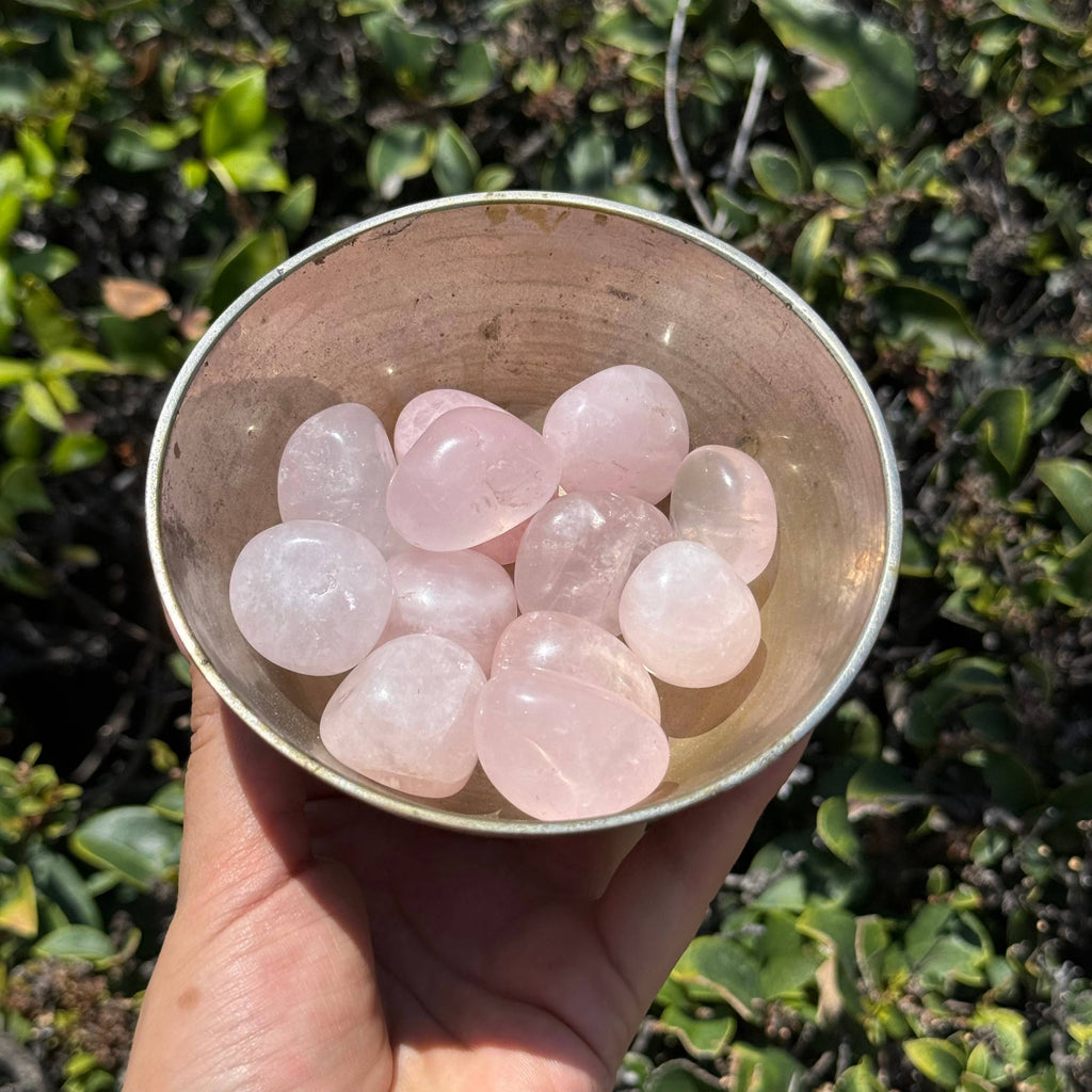 Rose Quartz Extra Small Tumble Stone