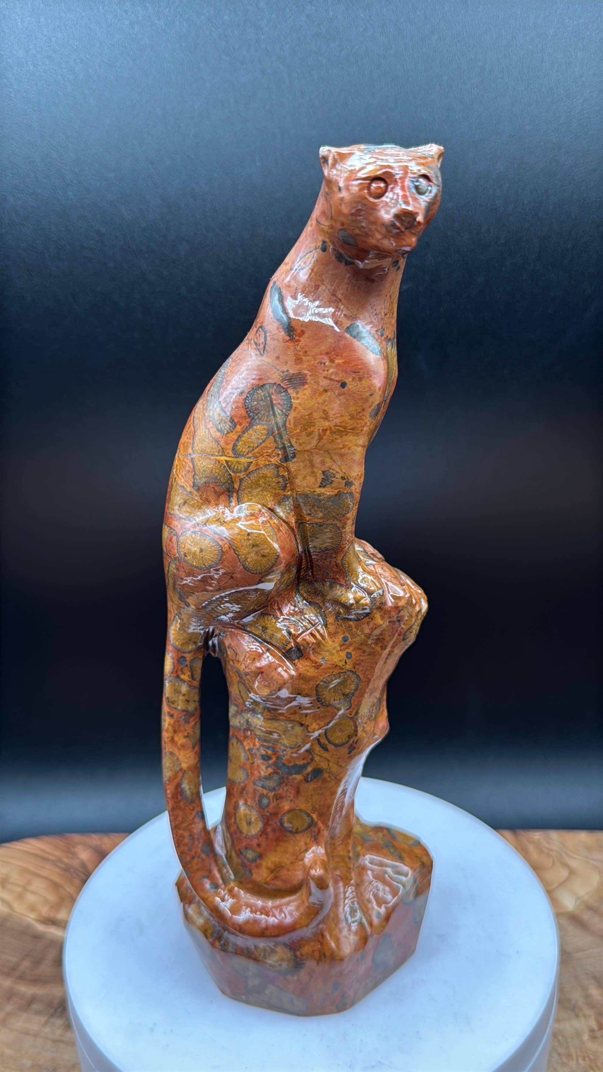 Leopard Skin Jasper Big Cat Carving on tree branch carving