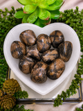 Chiastolite (Cross Stone) Tumbled Crystal | Intuitively Chosen | Natural Protection Stone