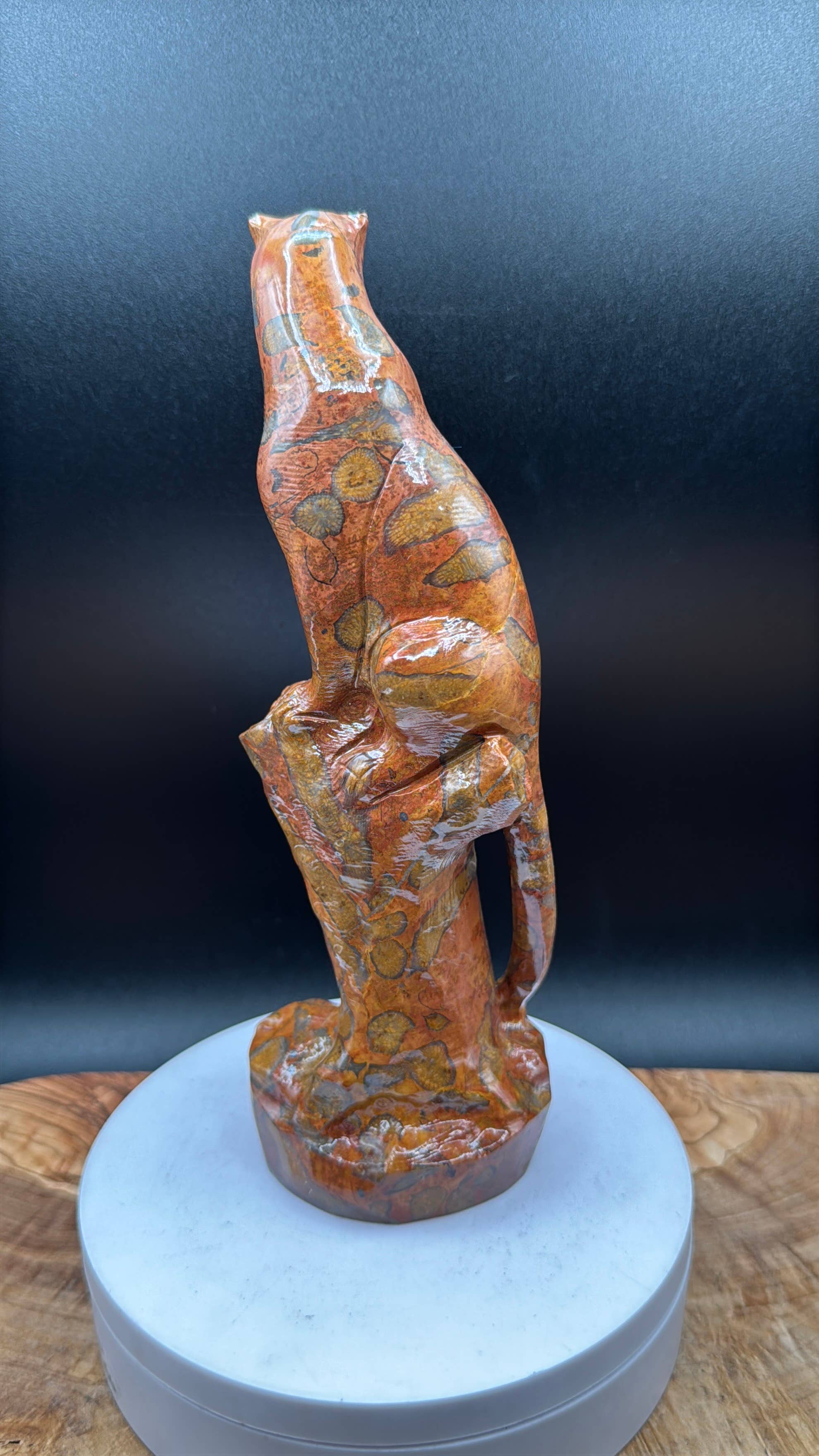 Leopard Skin Jasper Big Cat Carving on tree branch carving