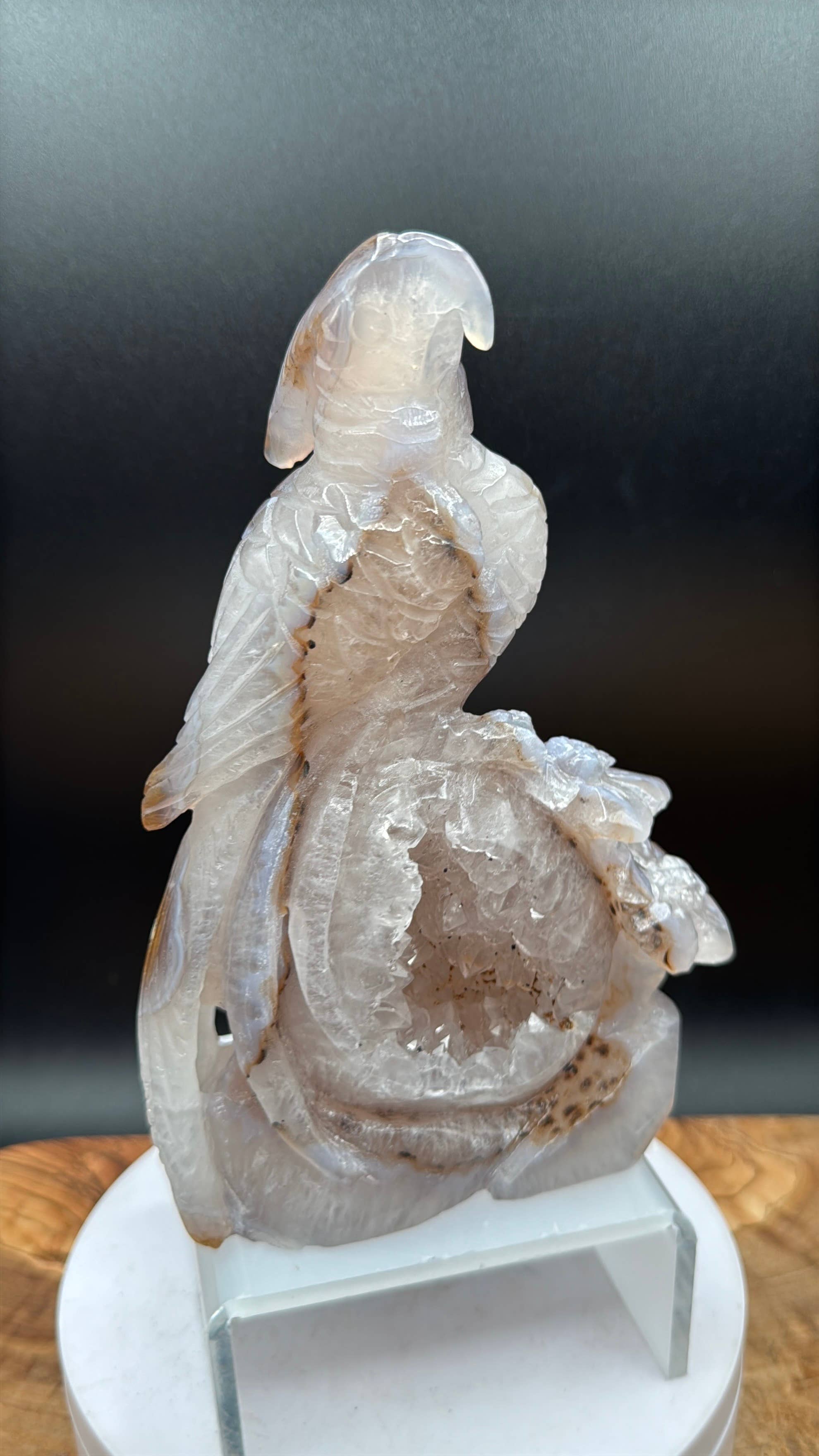 Druzy Agate Phoenix Bird with Flower Carving | 6 1/2" Crystal Sculpture H977