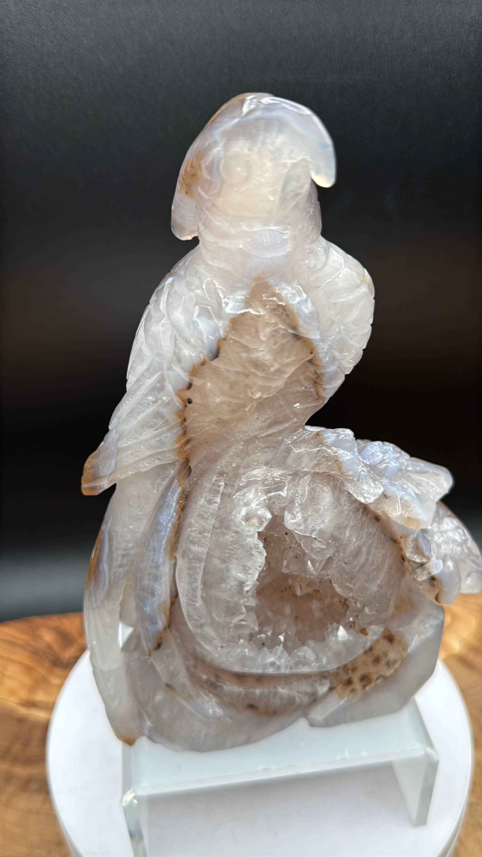 Druzy Agate Phoenix Bird with Flower Carving | 6 1/2" Crystal Sculpture H977